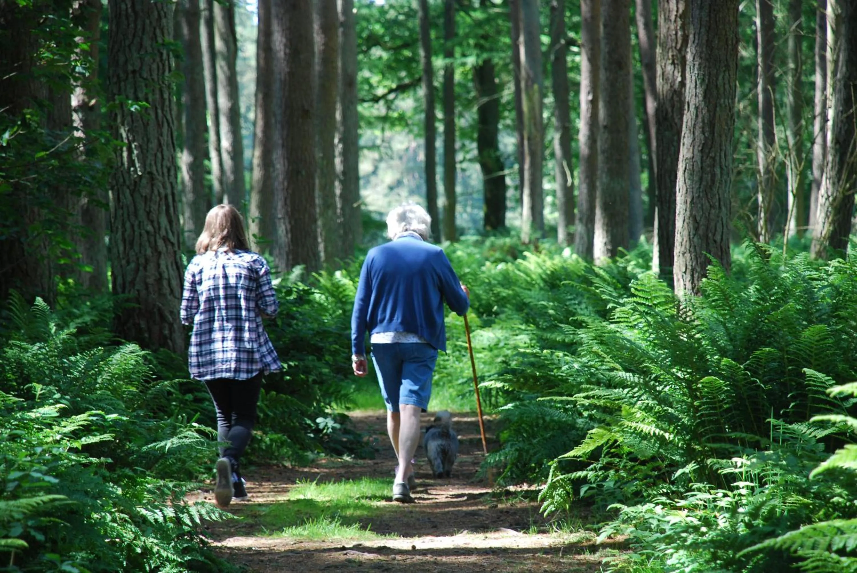 Neighbourhood in Meikleour Arms Hotel & Restaurant