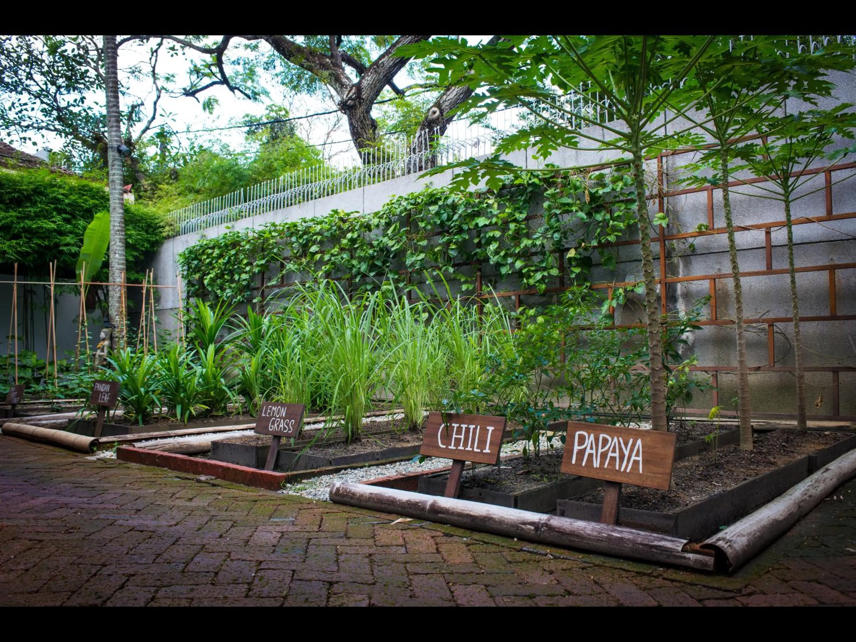 Garden in Villa Samadhi by Samadhi Age 12 and Above Only