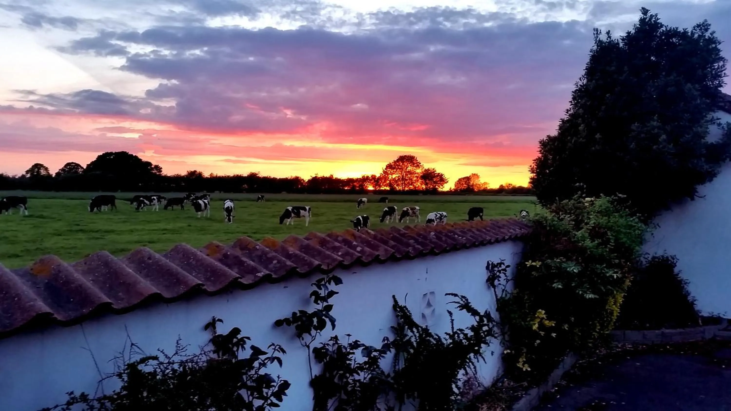 Natural landscape in Miltons Country Lodge
