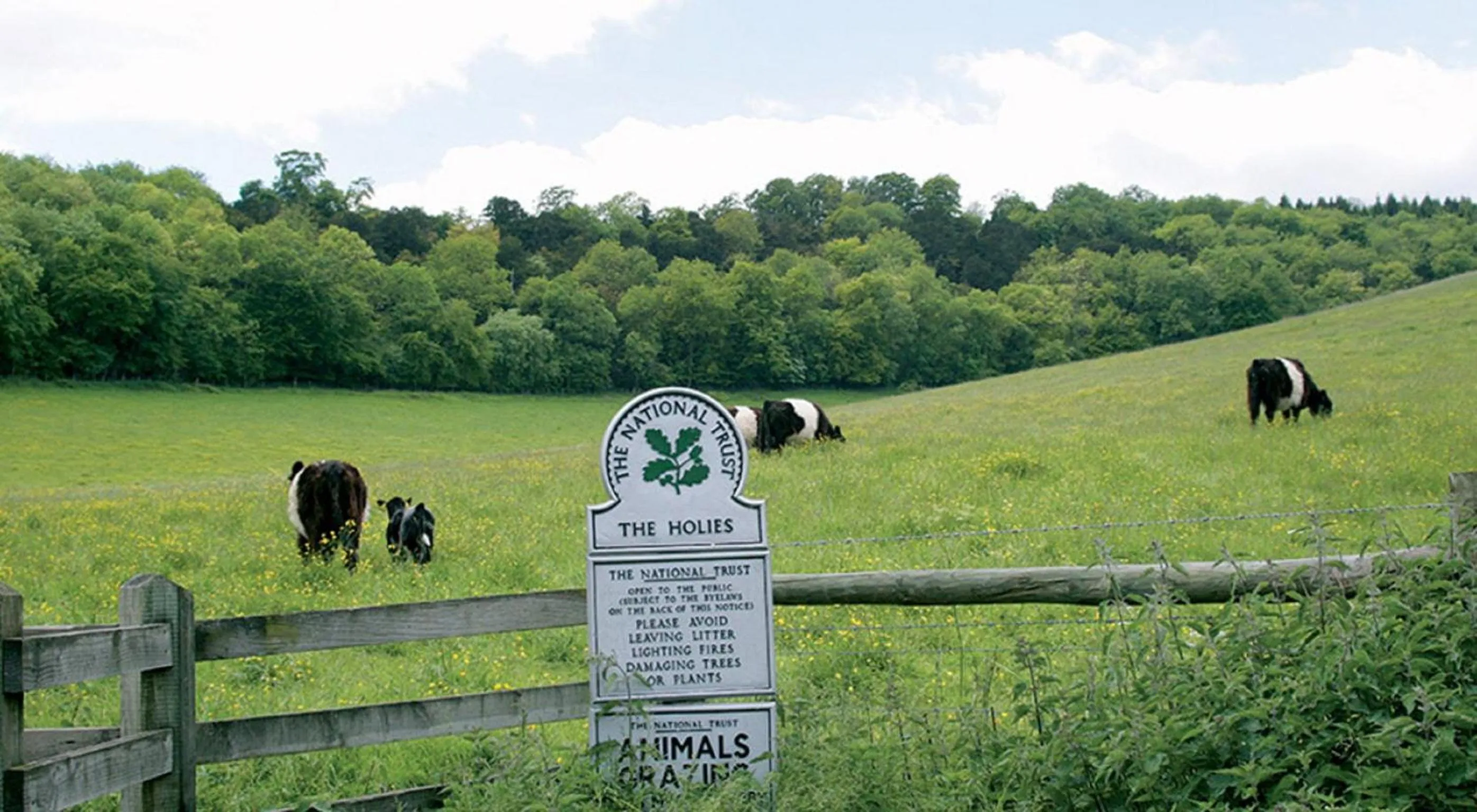 Animals in YHA Streatley on Thames