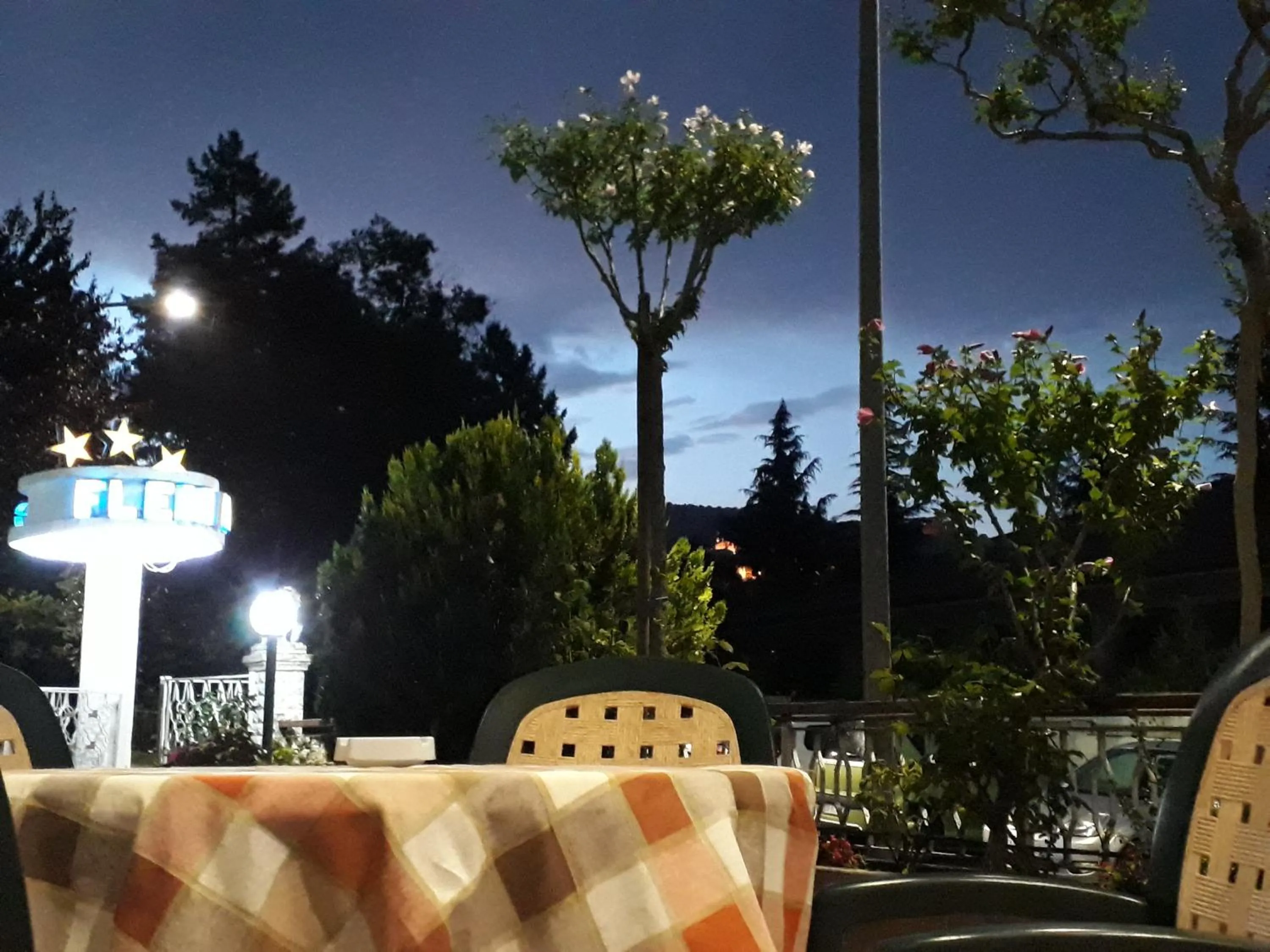 Night in Hotel Fleming