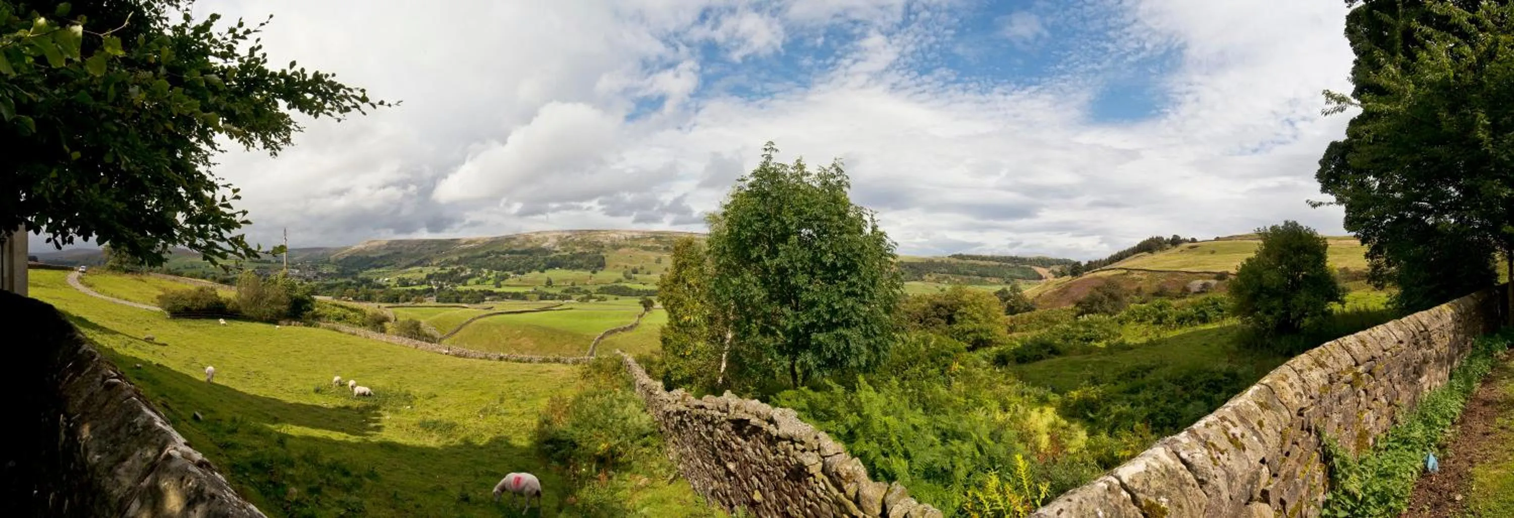 Garden in YHA Grinton Lodge
