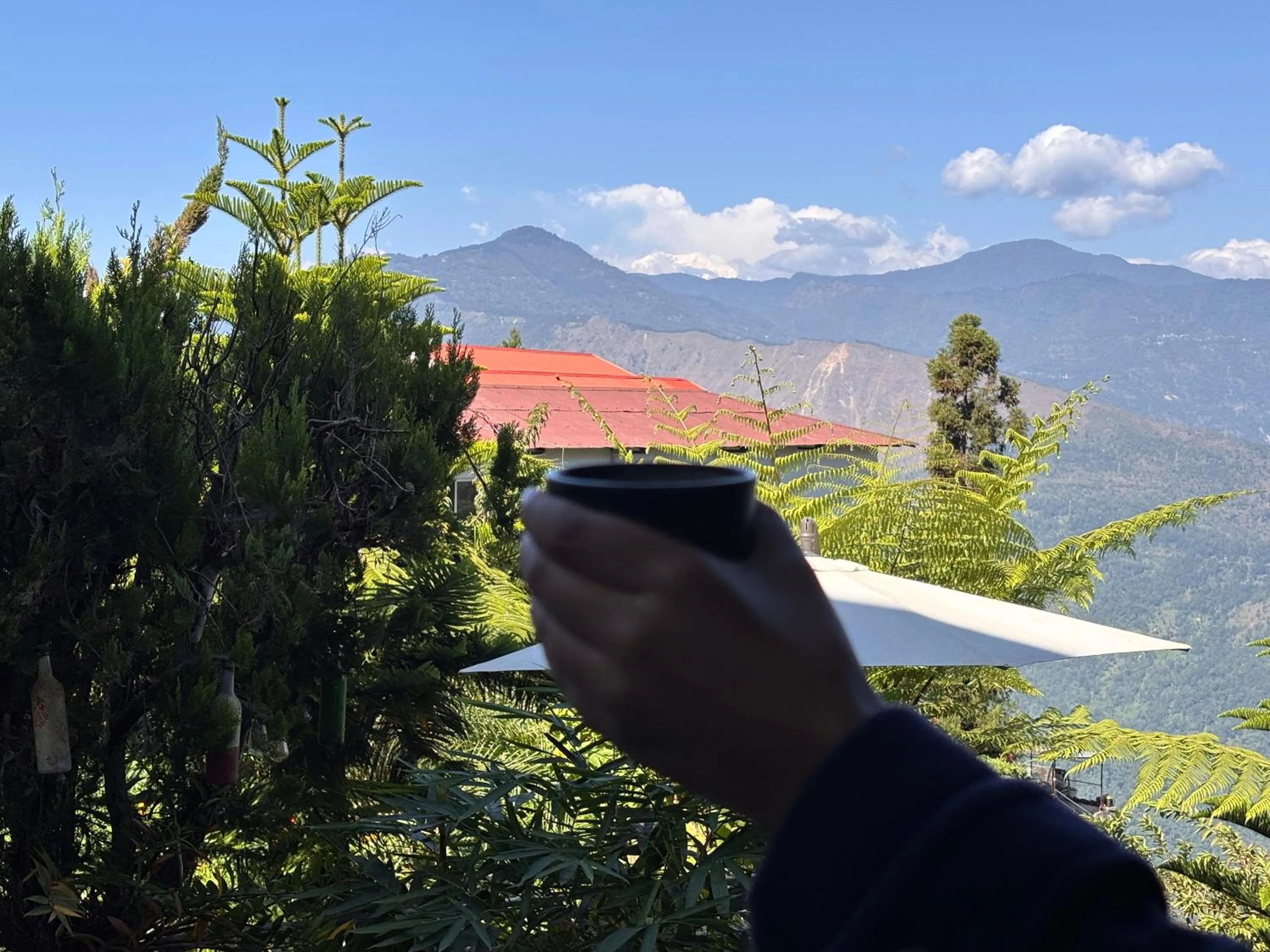 Mountain view in Sood's Himalayan Vista