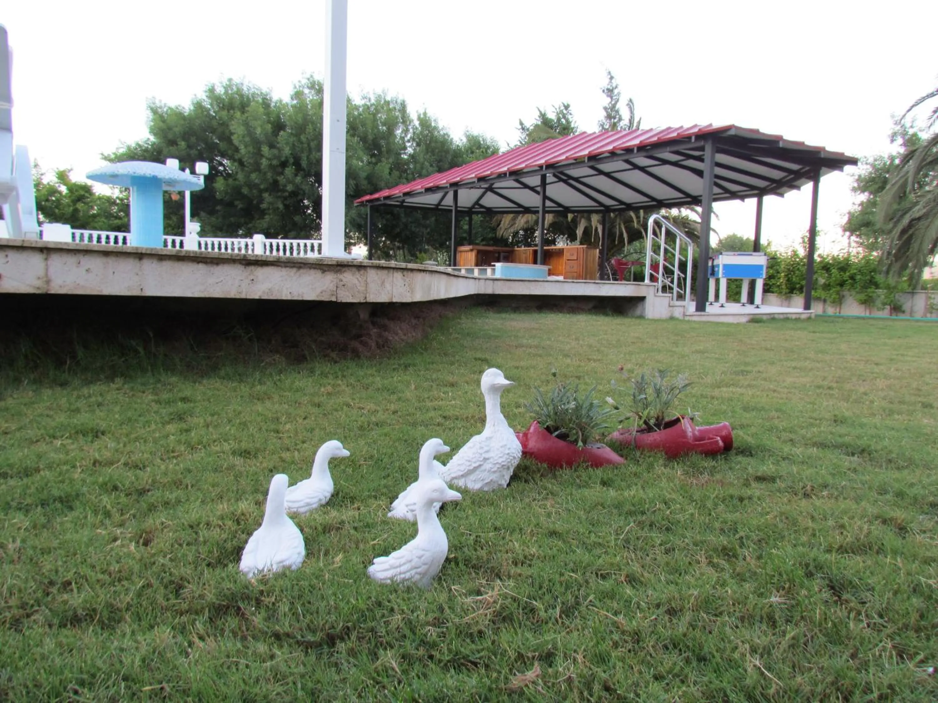 Garden view in Dalyan Palmiye Resort Hotel