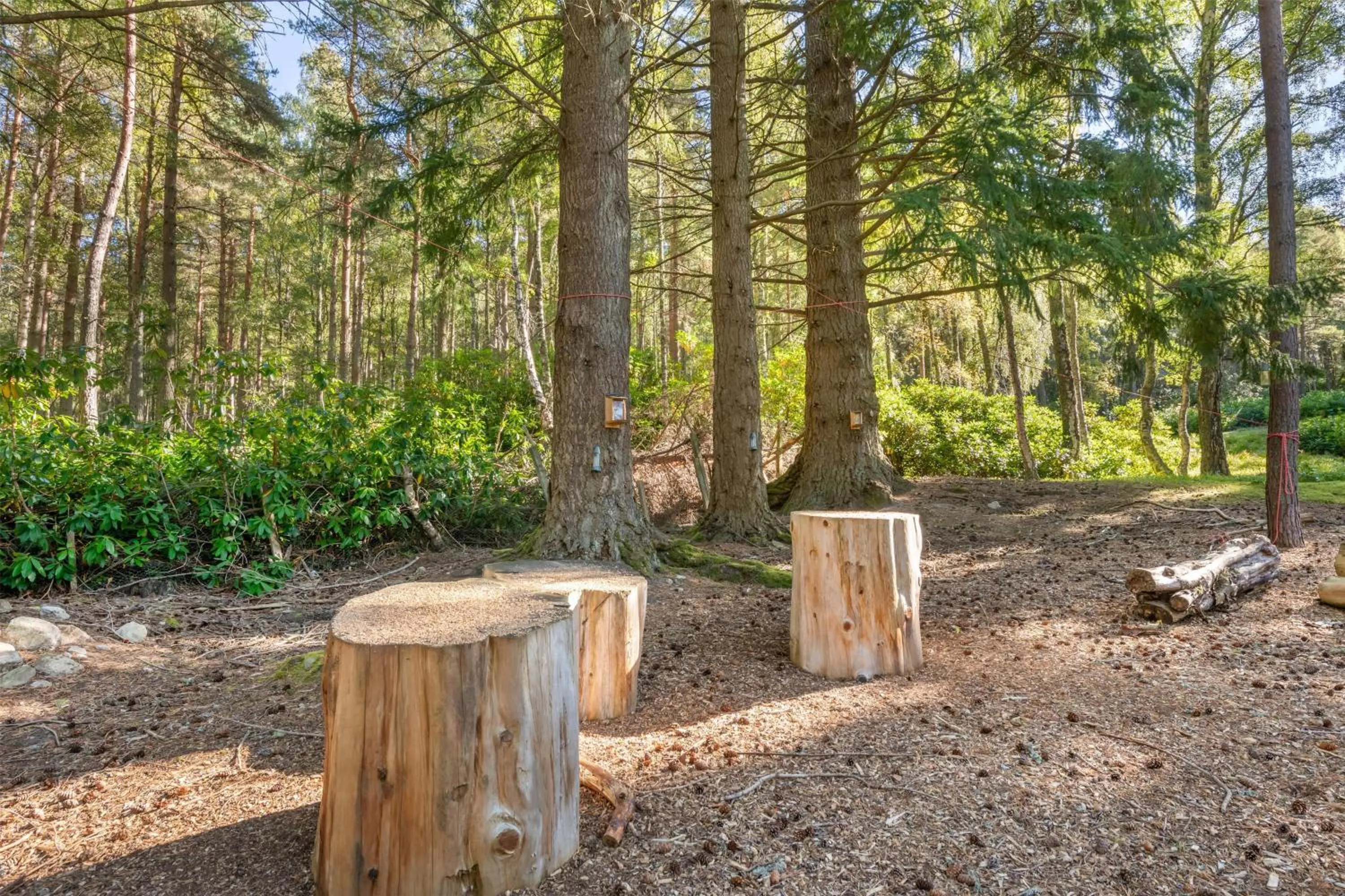 Property building in Hilton Grand Vacations Club Craigendarroch Suites Scotland