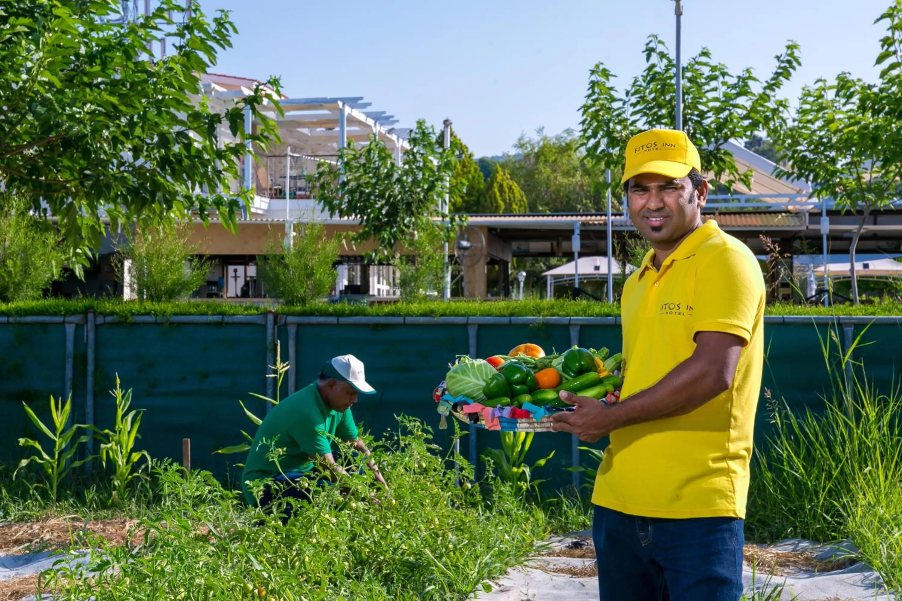 Garden view in Fitosinn Hotel