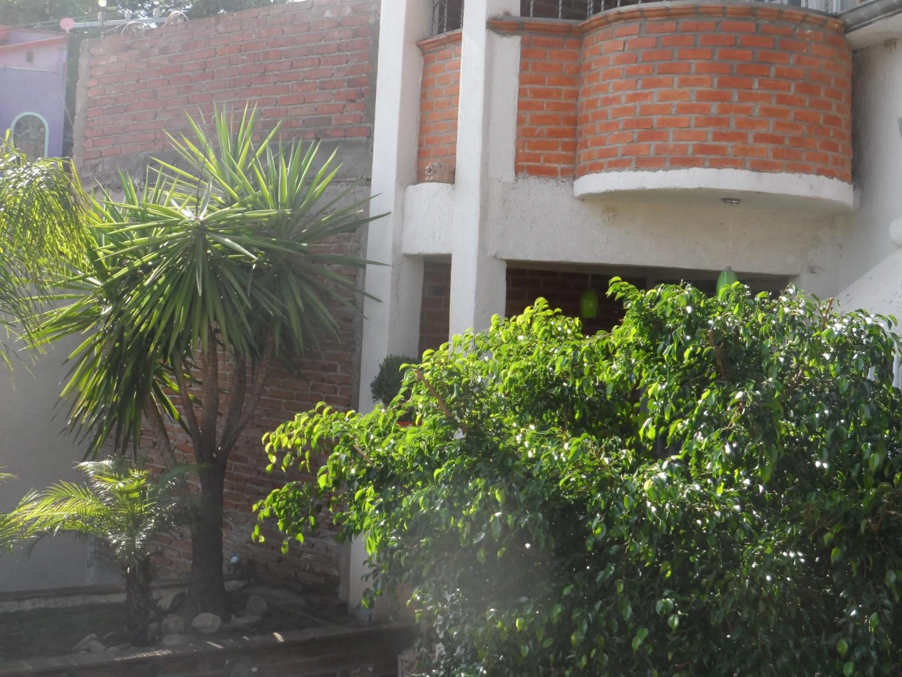 Property building in Hotel Internacional Malitsin