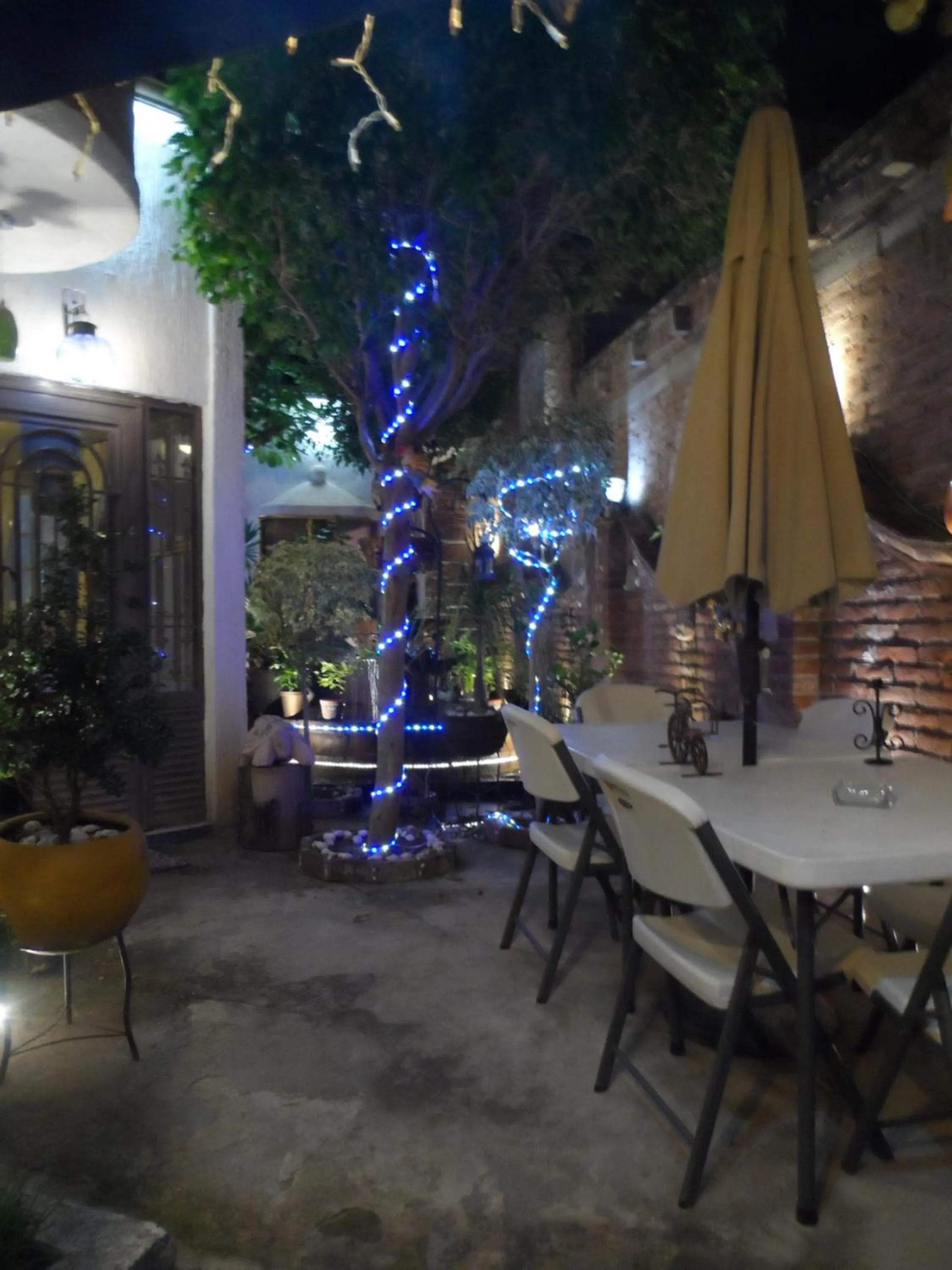 Garden in Hotel Internacional Malitsin