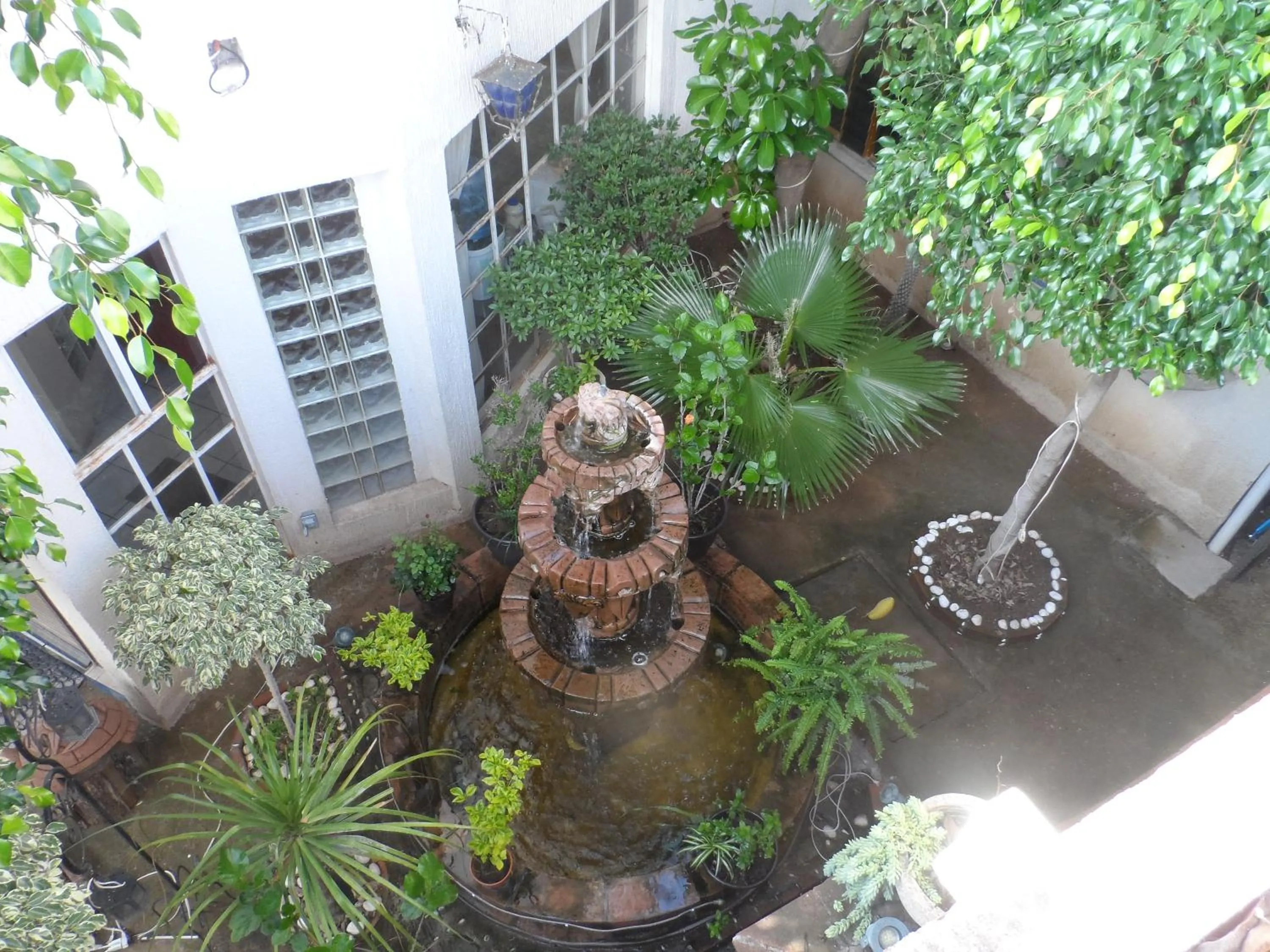 Garden in Hotel Internacional Malitsin