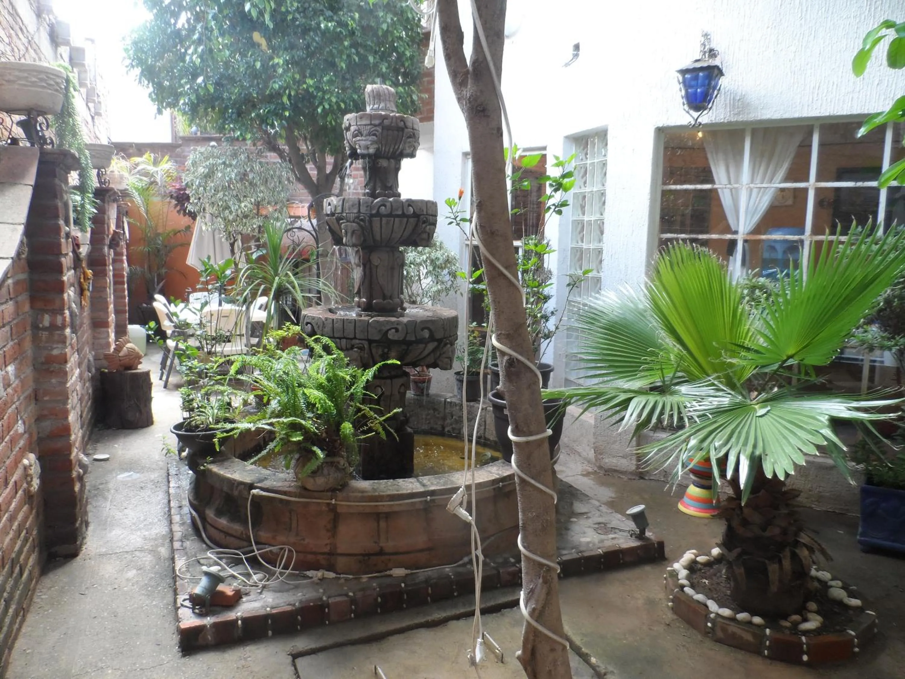 Garden in Hotel Internacional Malitsin