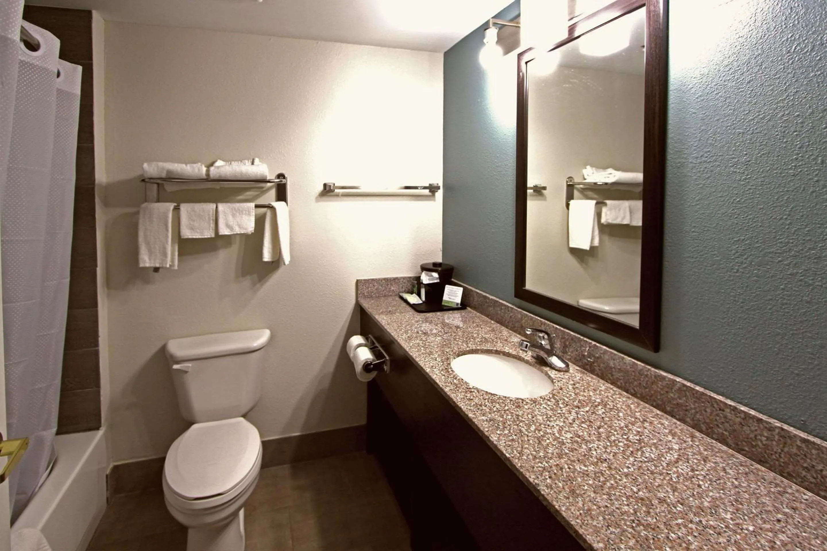 Bathroom in Sleep Inn & Suites Foley - Gulf Shores North