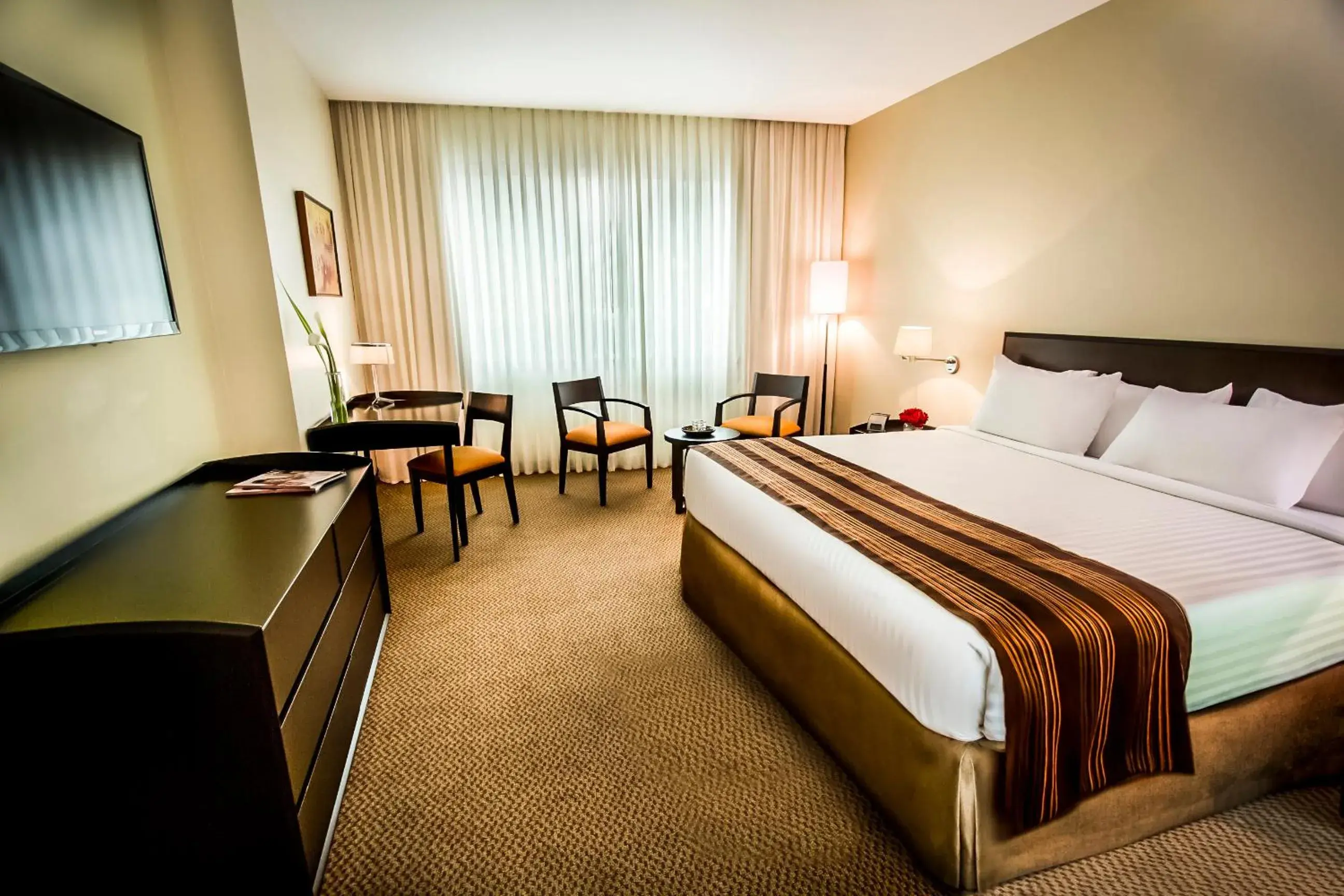 Junior Suite in Lidotel Valencia Junior Suite in Lidotel Valencia