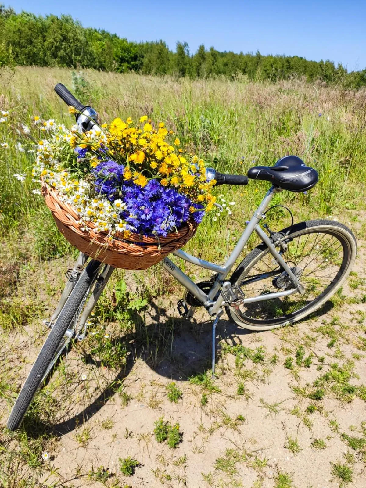 Nearby landmark in Domki Kaktus