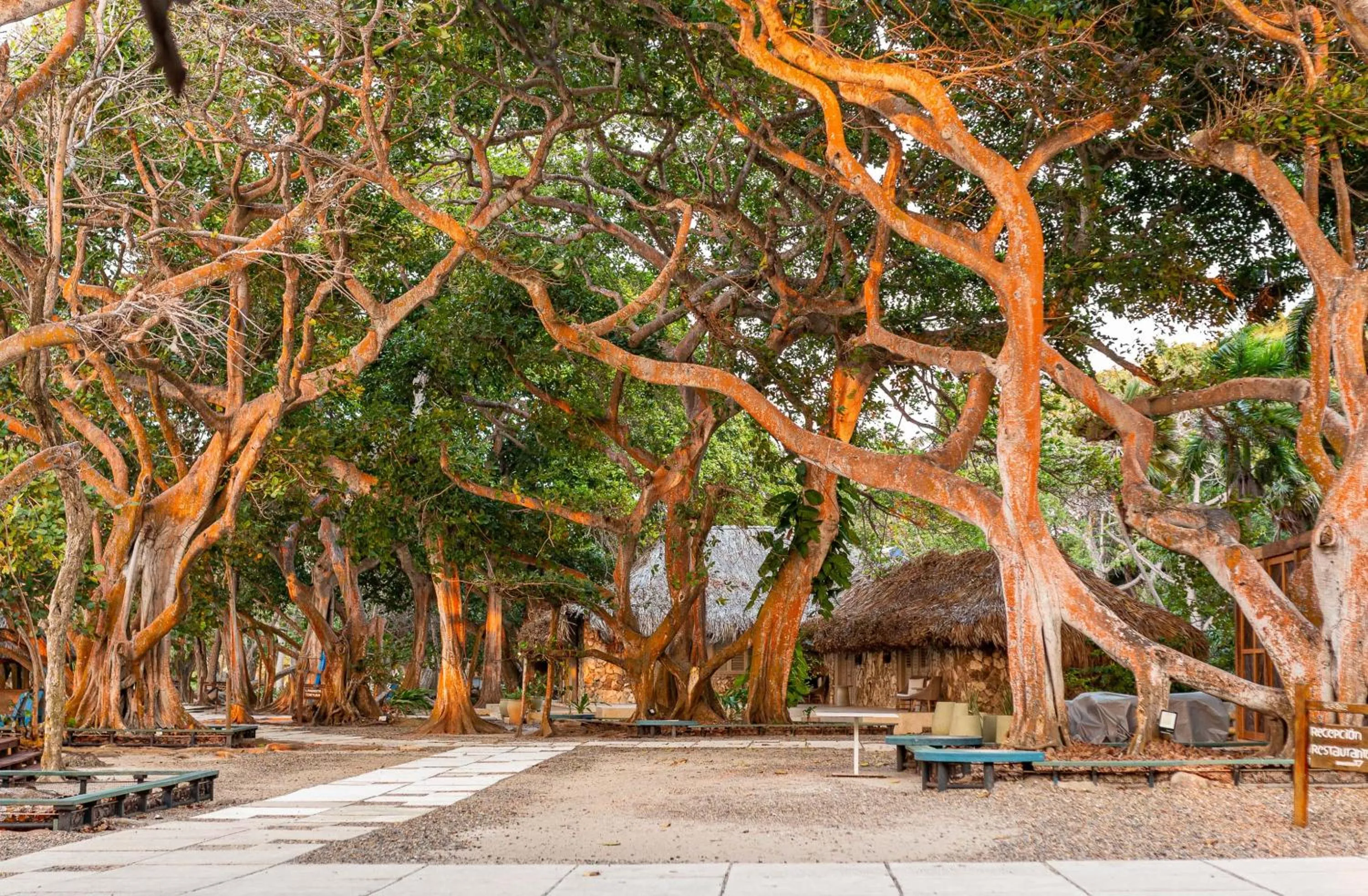 Hotel San Pedro de Majagua