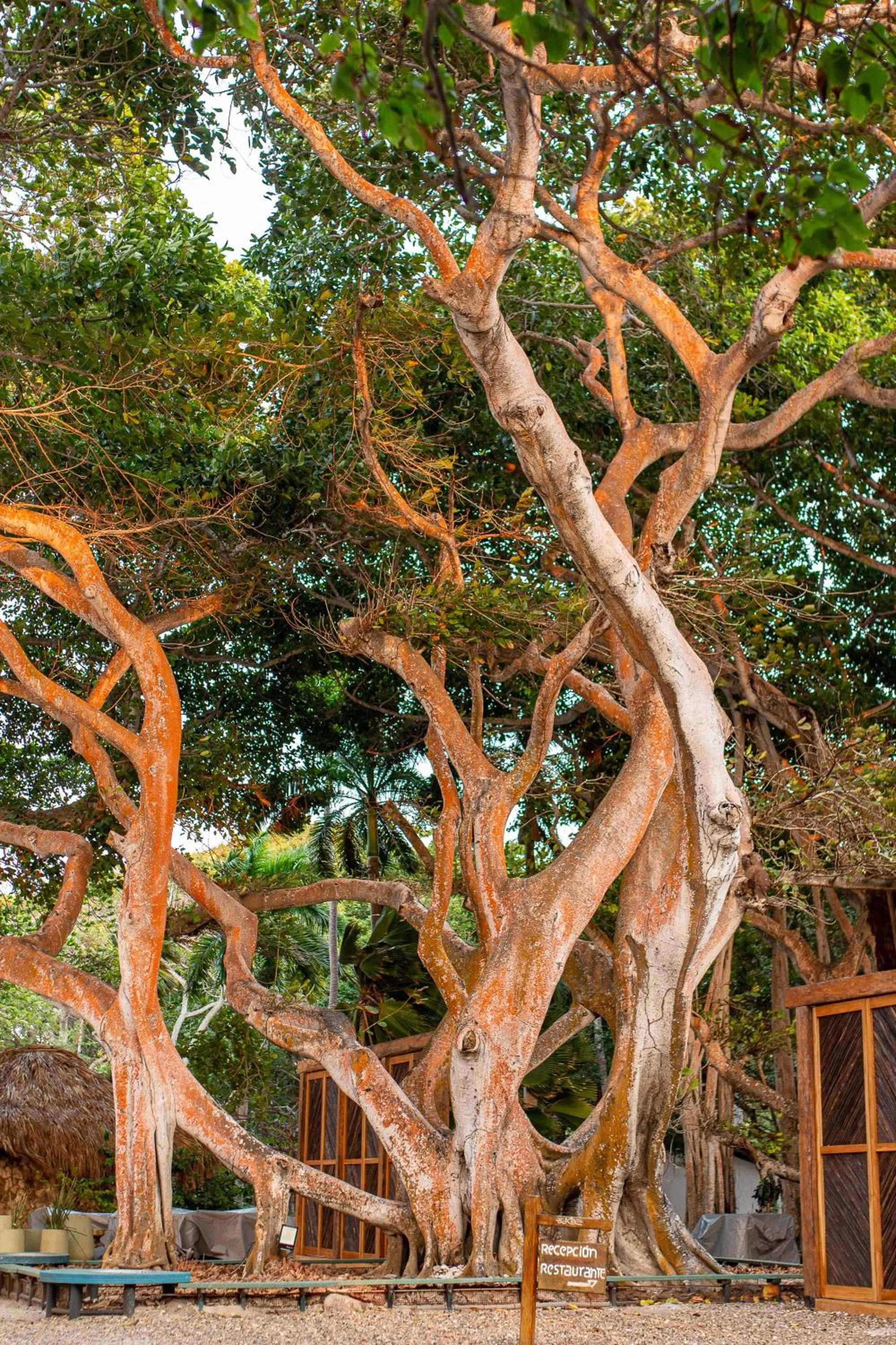 Hotel San Pedro de Majagua