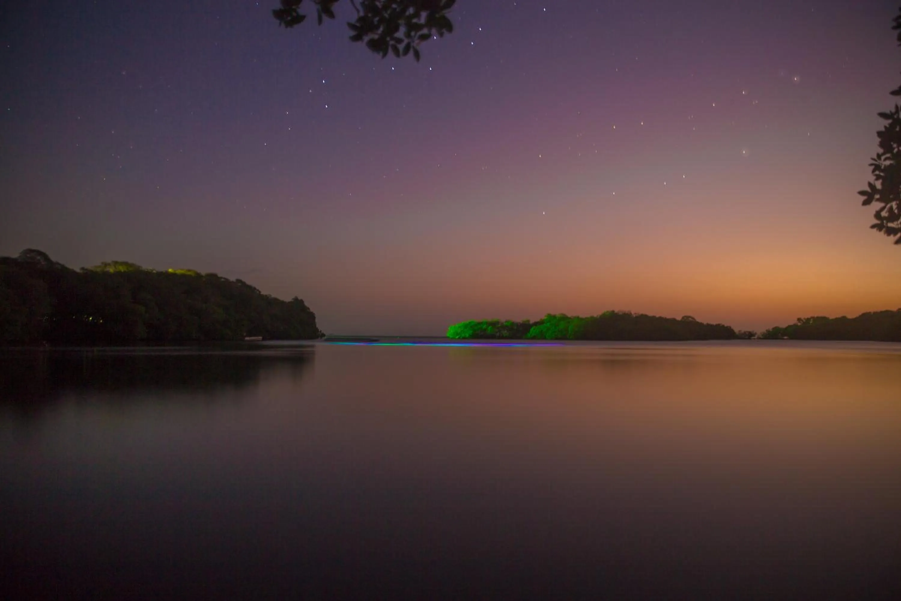 View (from property/room) in Hotel San Pedro de Majagua