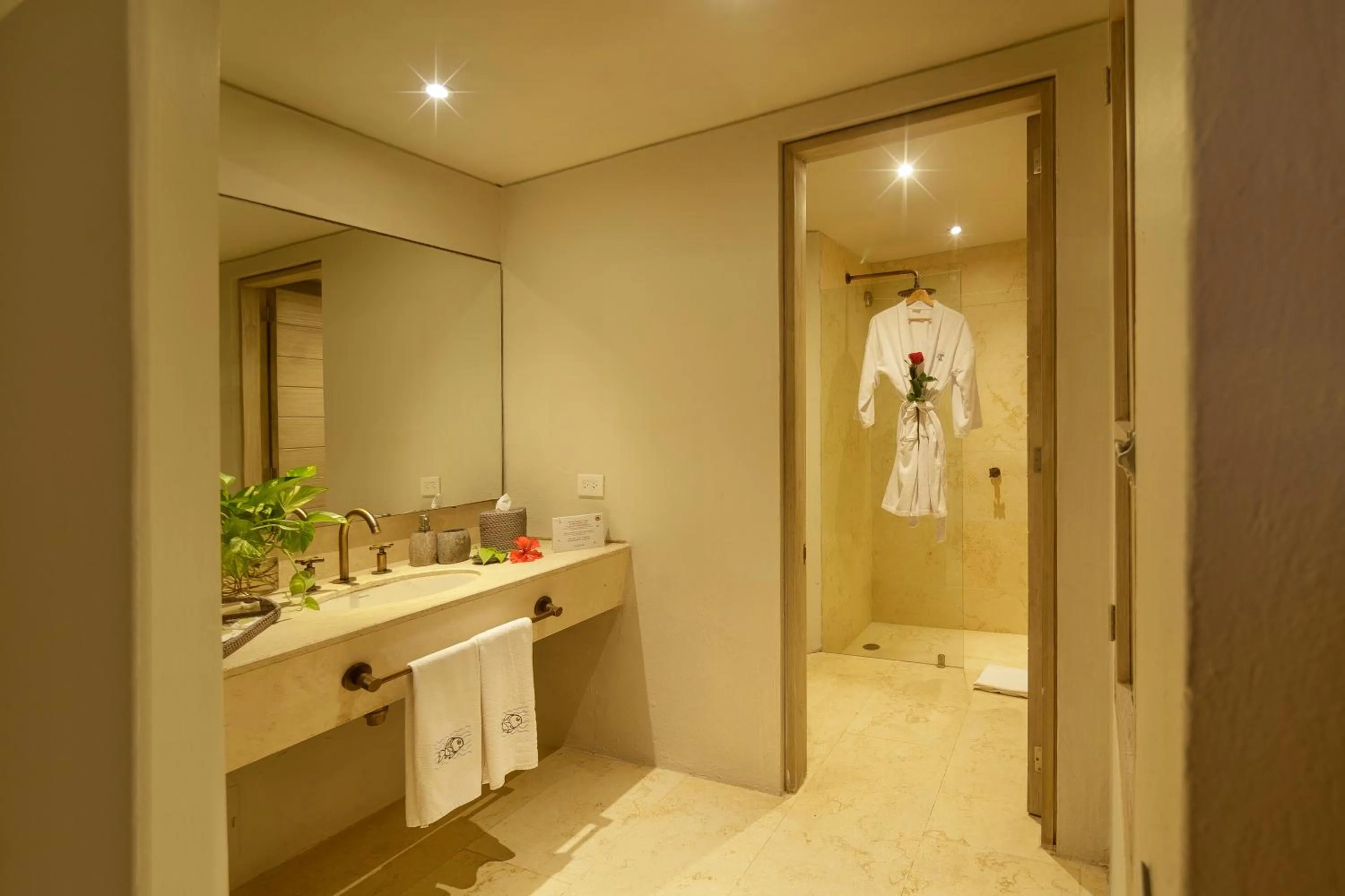 Bathroom in Hotel San Pedro de Majagua