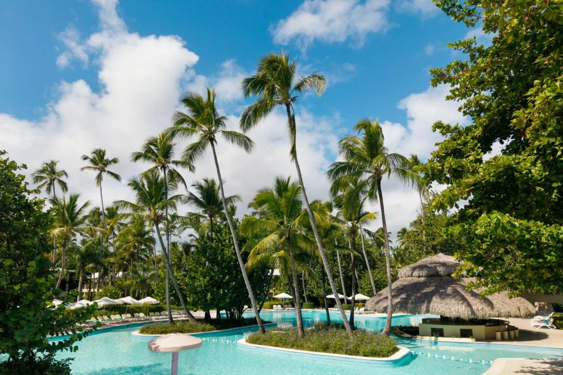 Swimming pool in Impressive Punta Cana - All Inclusive
