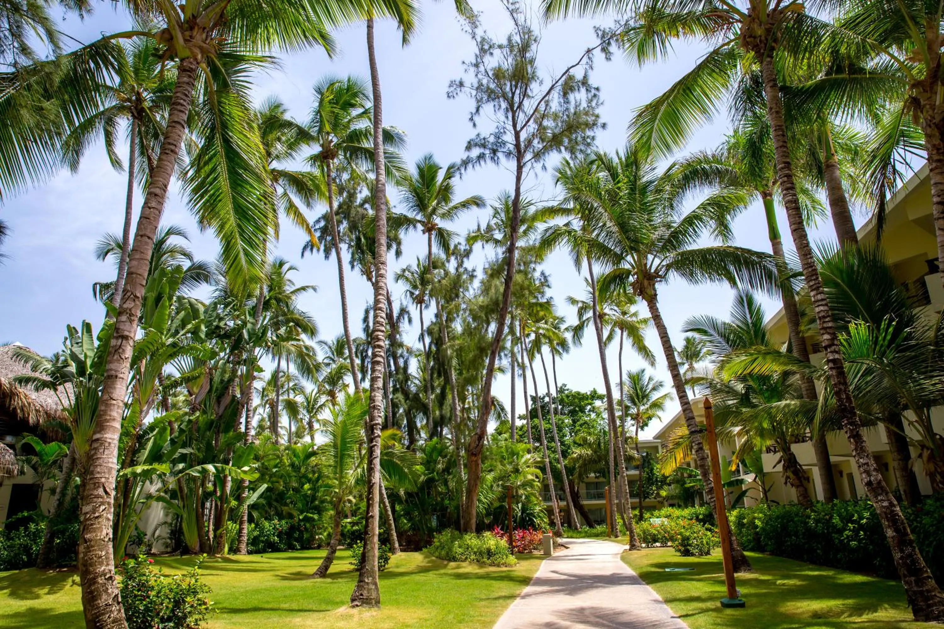 Garden in Impressive Punta Cana - All Inclusive