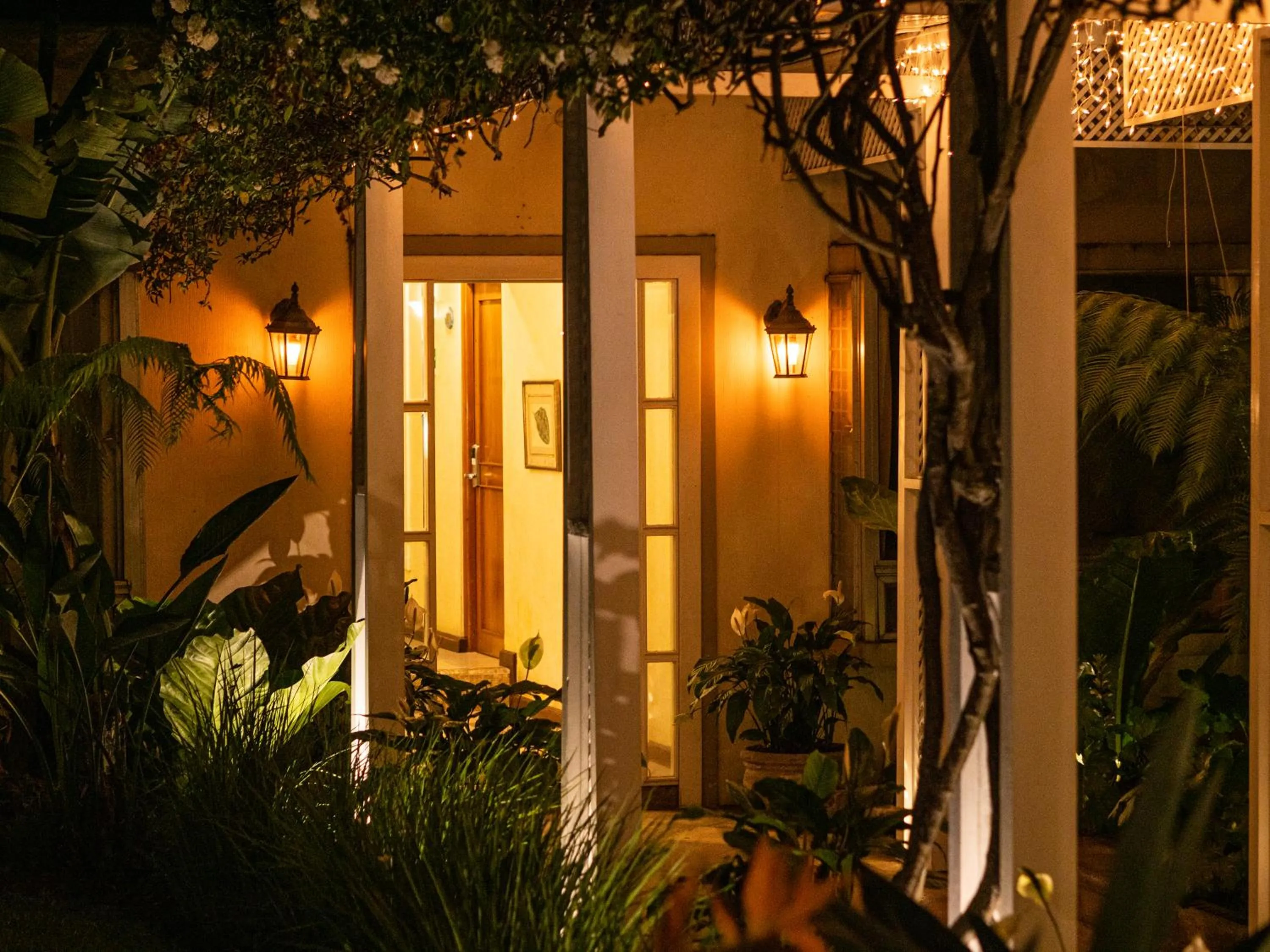 Garden in Hotel San Carlos