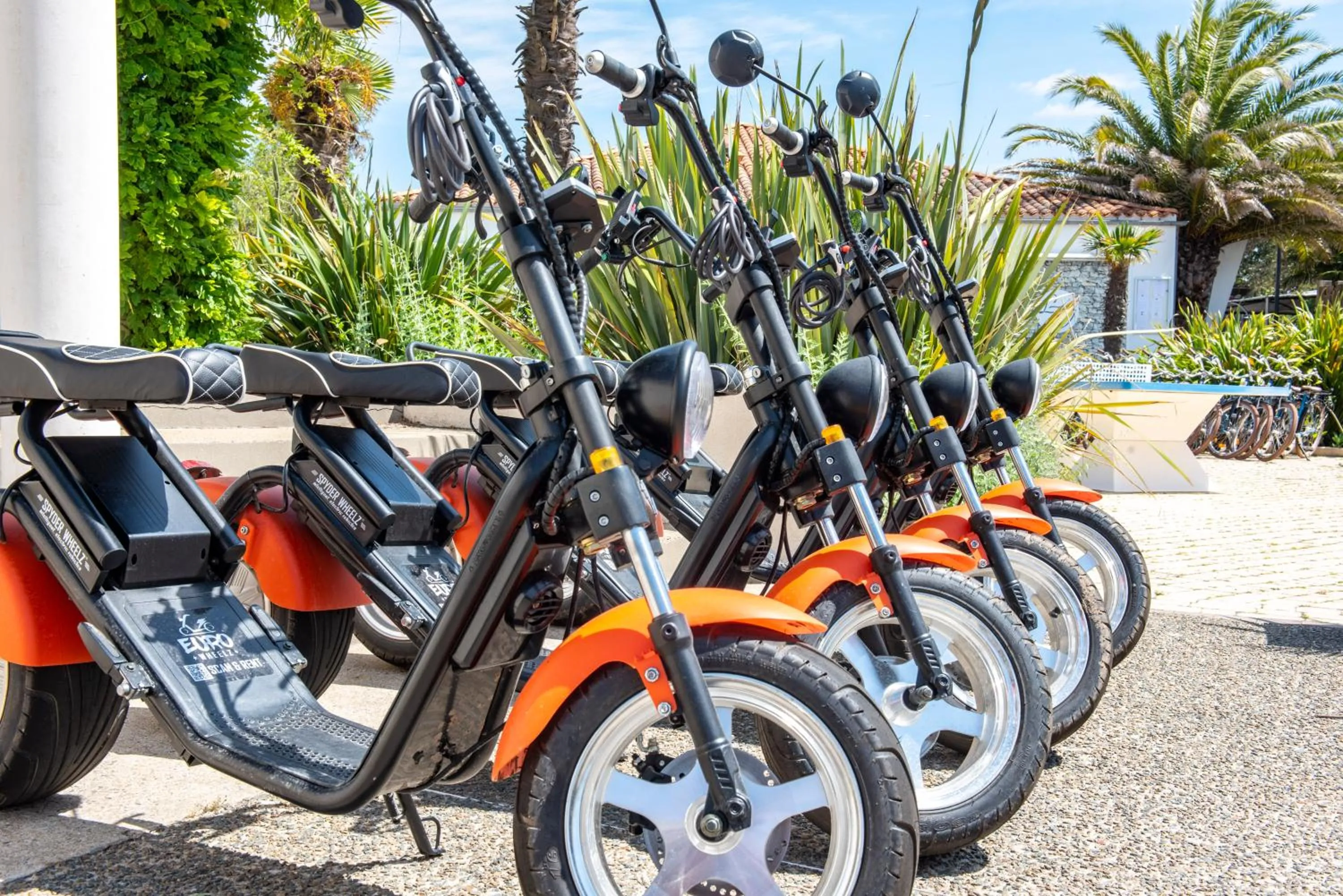 Sports in Oasis Les Jardins des Sables d'Olonne