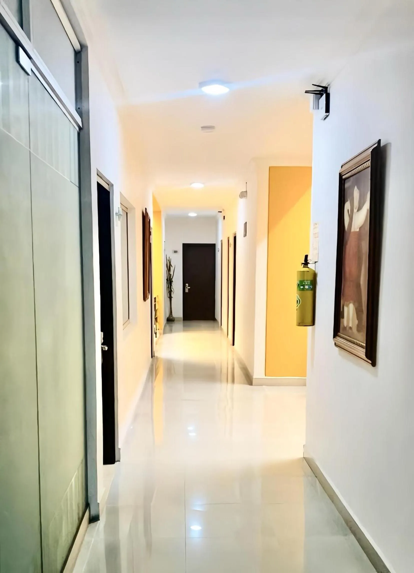 Area and facilities in Hotel Palma 70