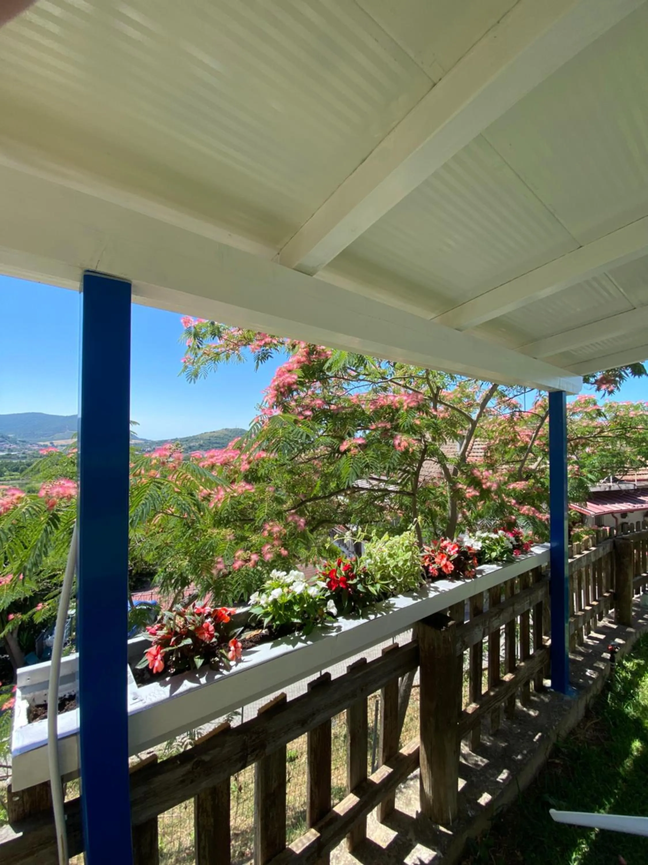 Garden in Albizia, casevacanza