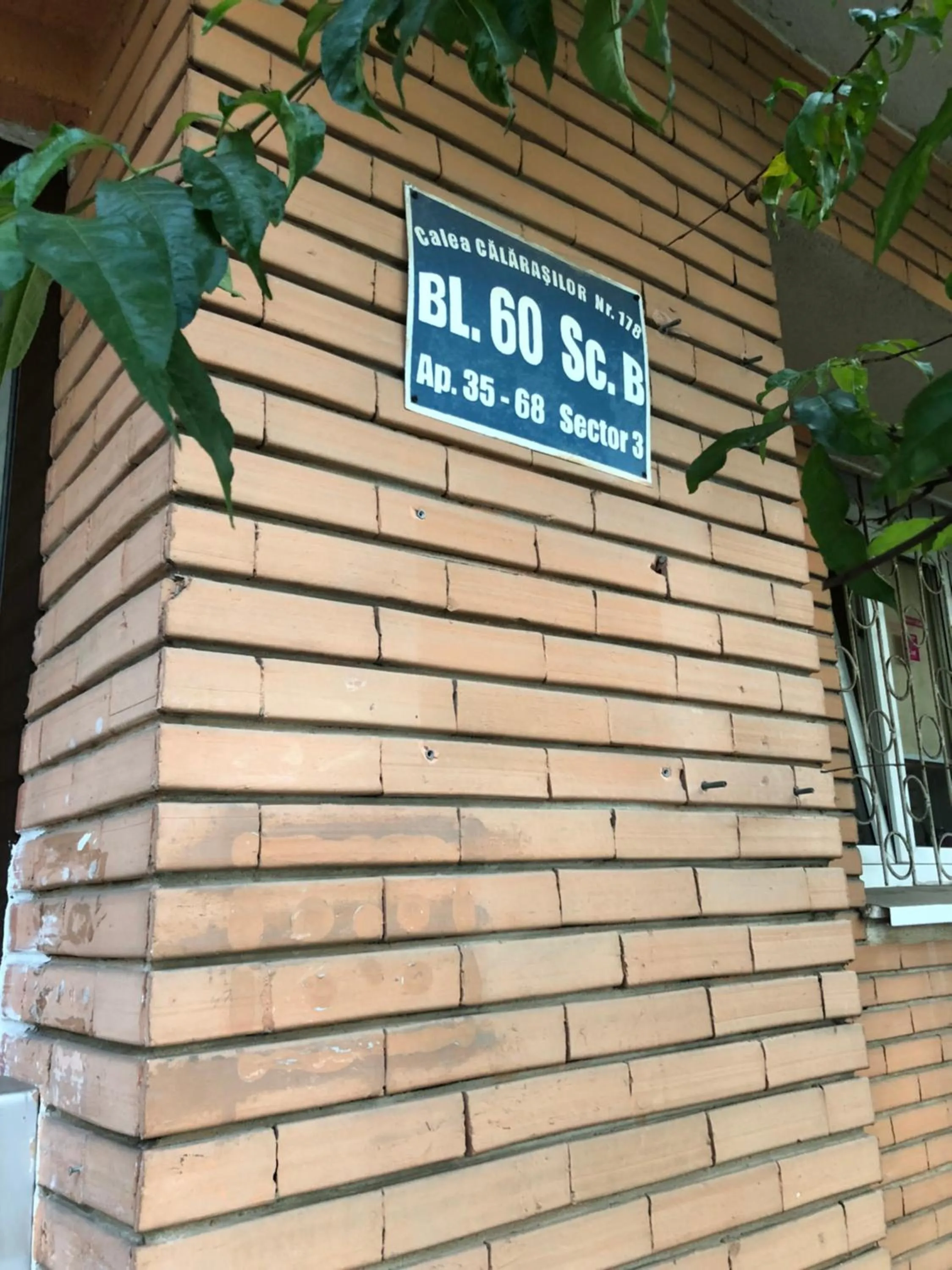 Property building in Green Apartment 59