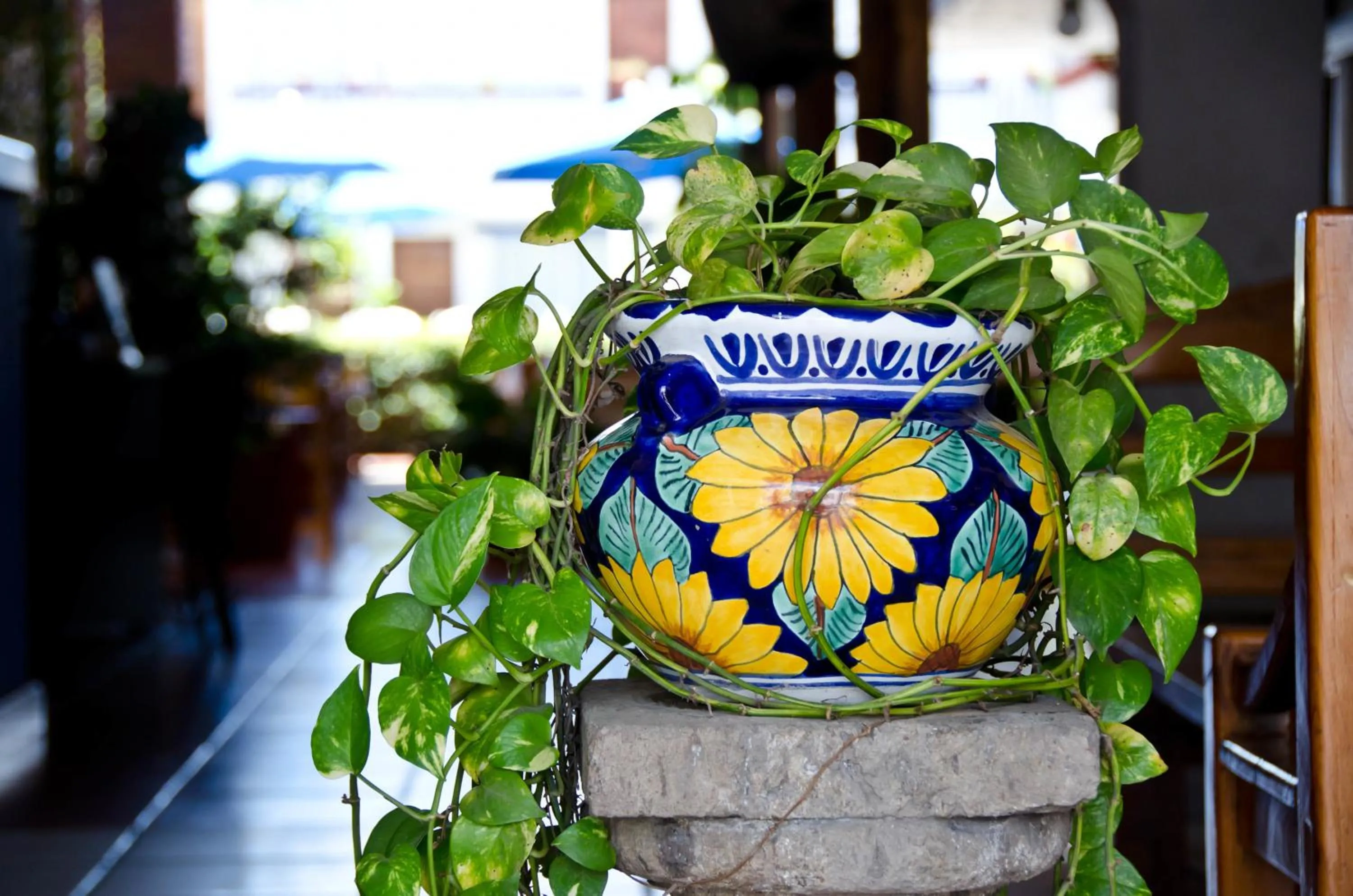 Decorative detail in Hotel Hacienda Vallarta - Playa Las Glorias