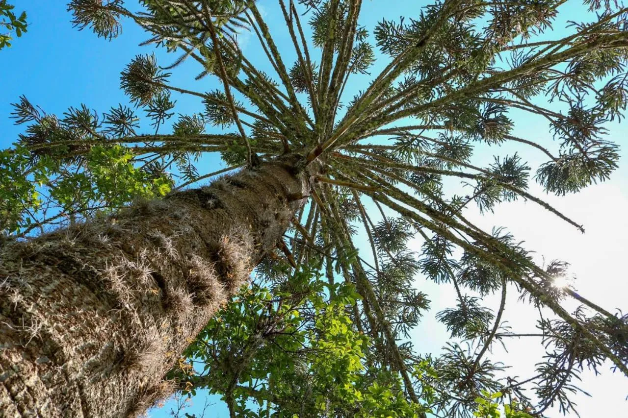 Pousada Vista do Paraíso