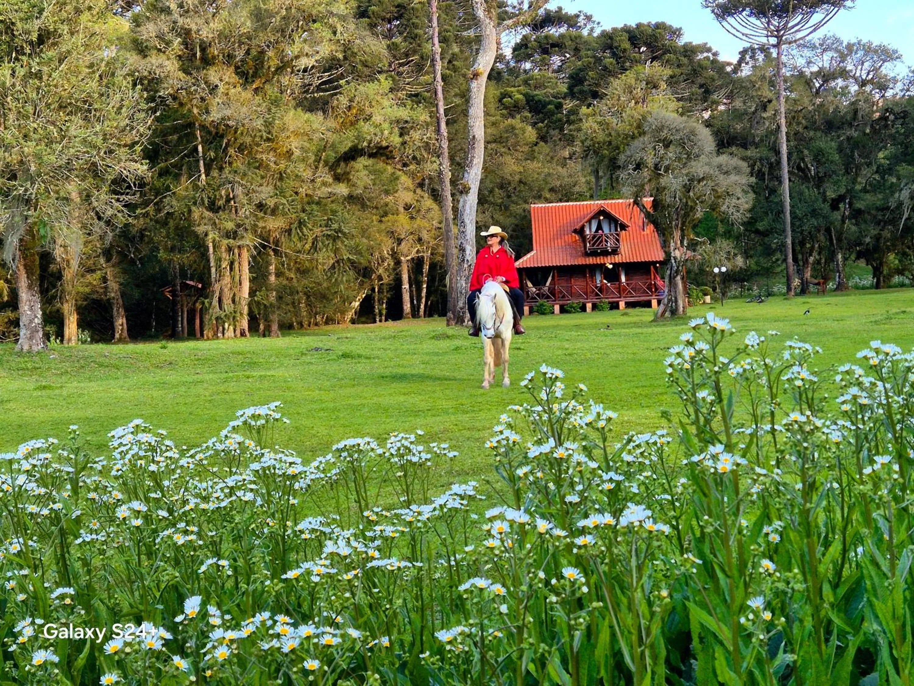 Spring in Pousada Recanto dos Pôneis Rio Rufino Urubici