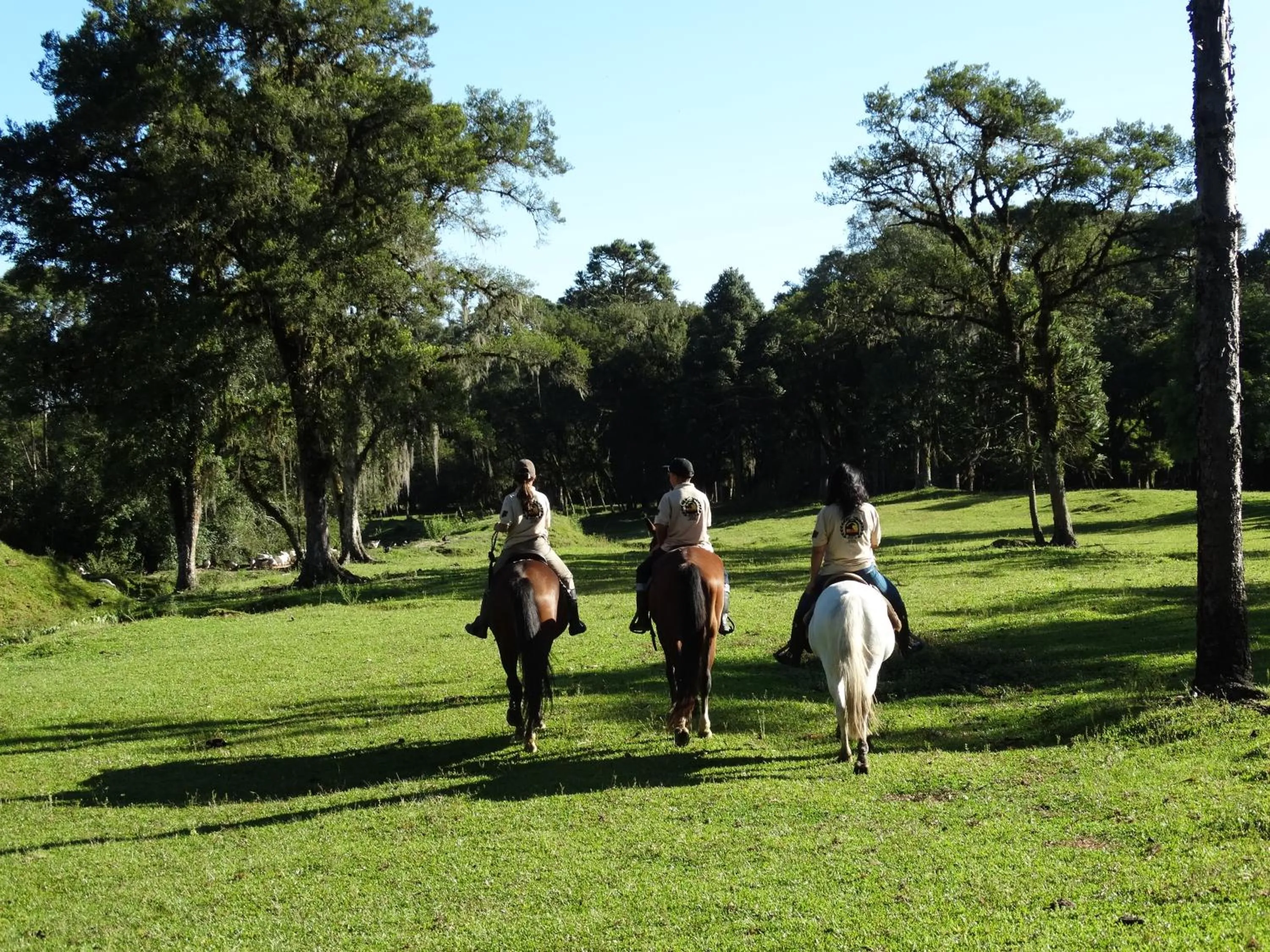 Day in Pousada Recanto dos Pôneis Rio Rufino Urubici