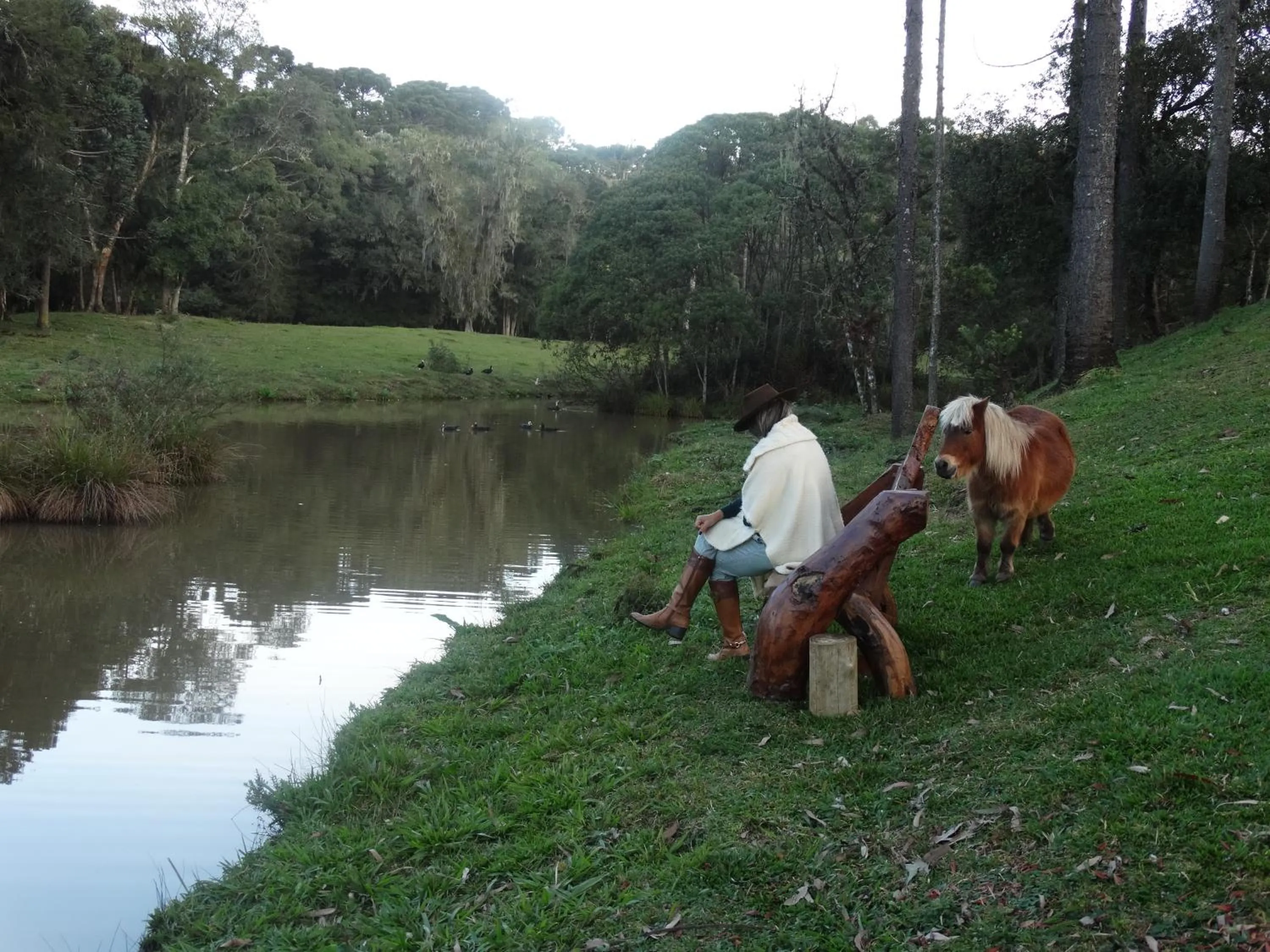 Lake view in Pousada Recanto dos Pôneis Rio Rufino Urubici