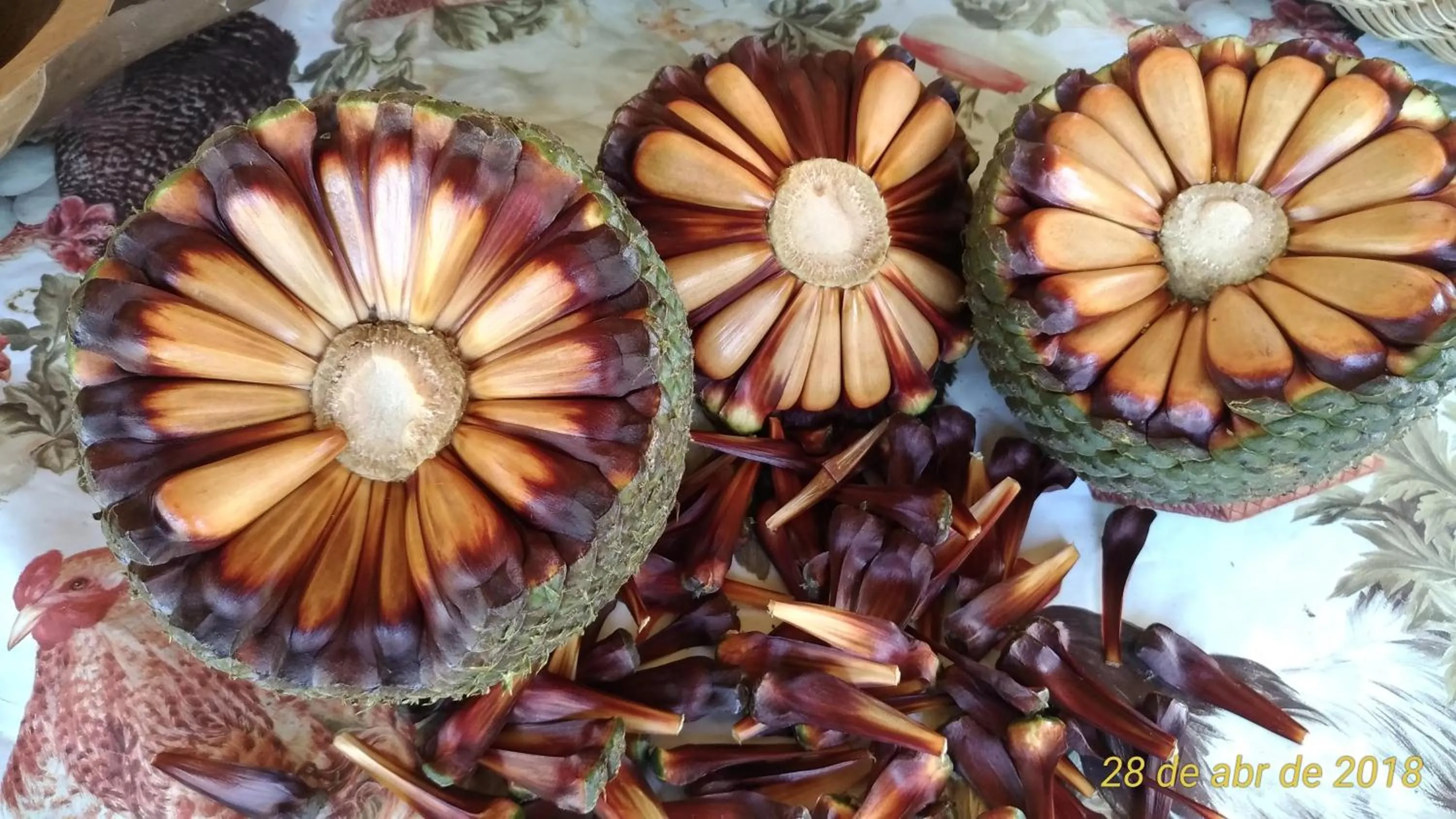 Food in Pousada Recanto dos Pôneis Rio Rufino Urubici