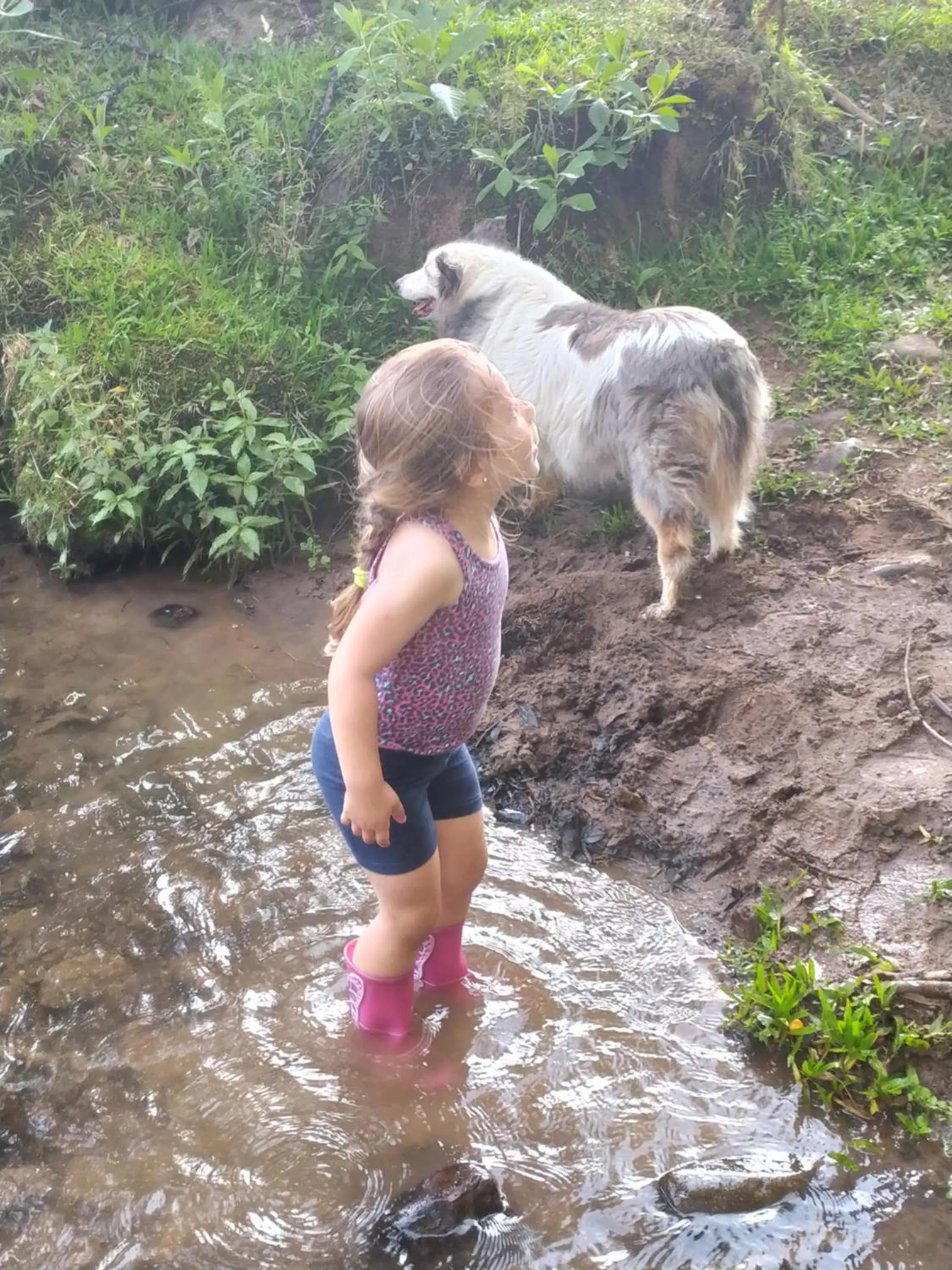 People in Pousada Recanto dos Pôneis Rio Rufino Urubici