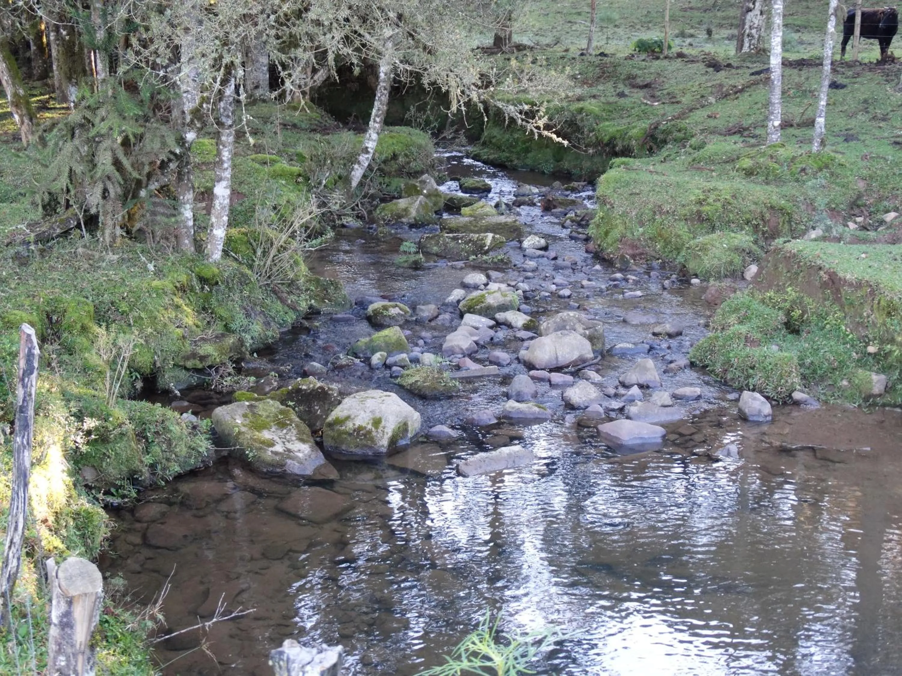 Place of worship in Pousada Recanto dos Pôneis Rio Rufino Urubici