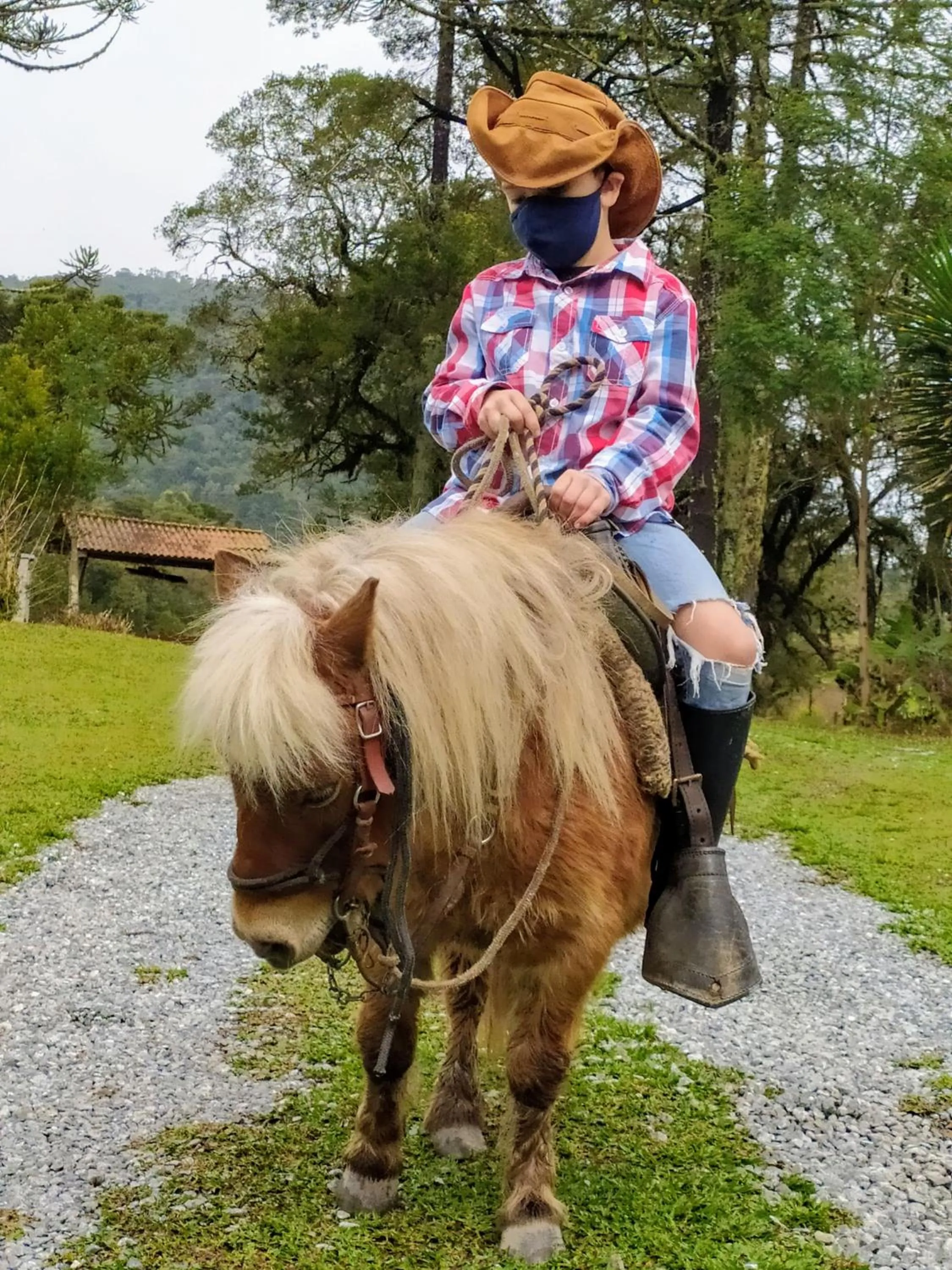 Activities in Pousada Recanto dos Pôneis Rio Rufino Urubici