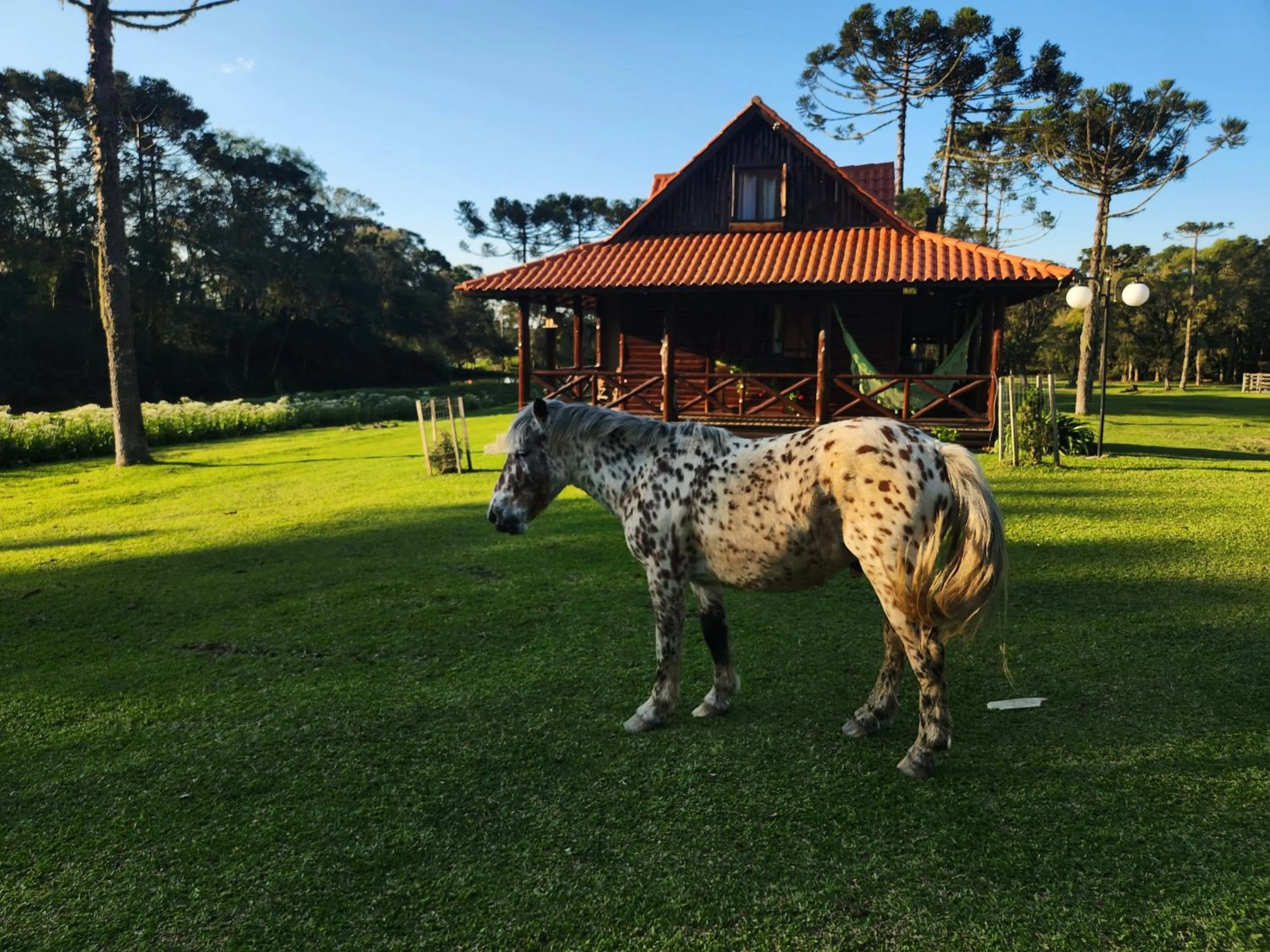 Property building in Pousada Recanto dos Pôneis Rio Rufino Urubici