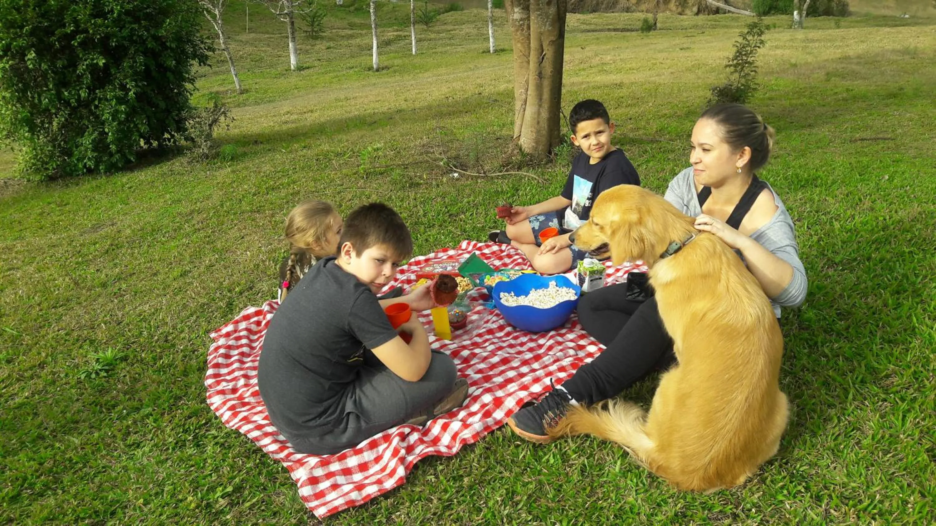 Natural landscape in Pousada Recanto dos Pôneis Rio Rufino Urubici