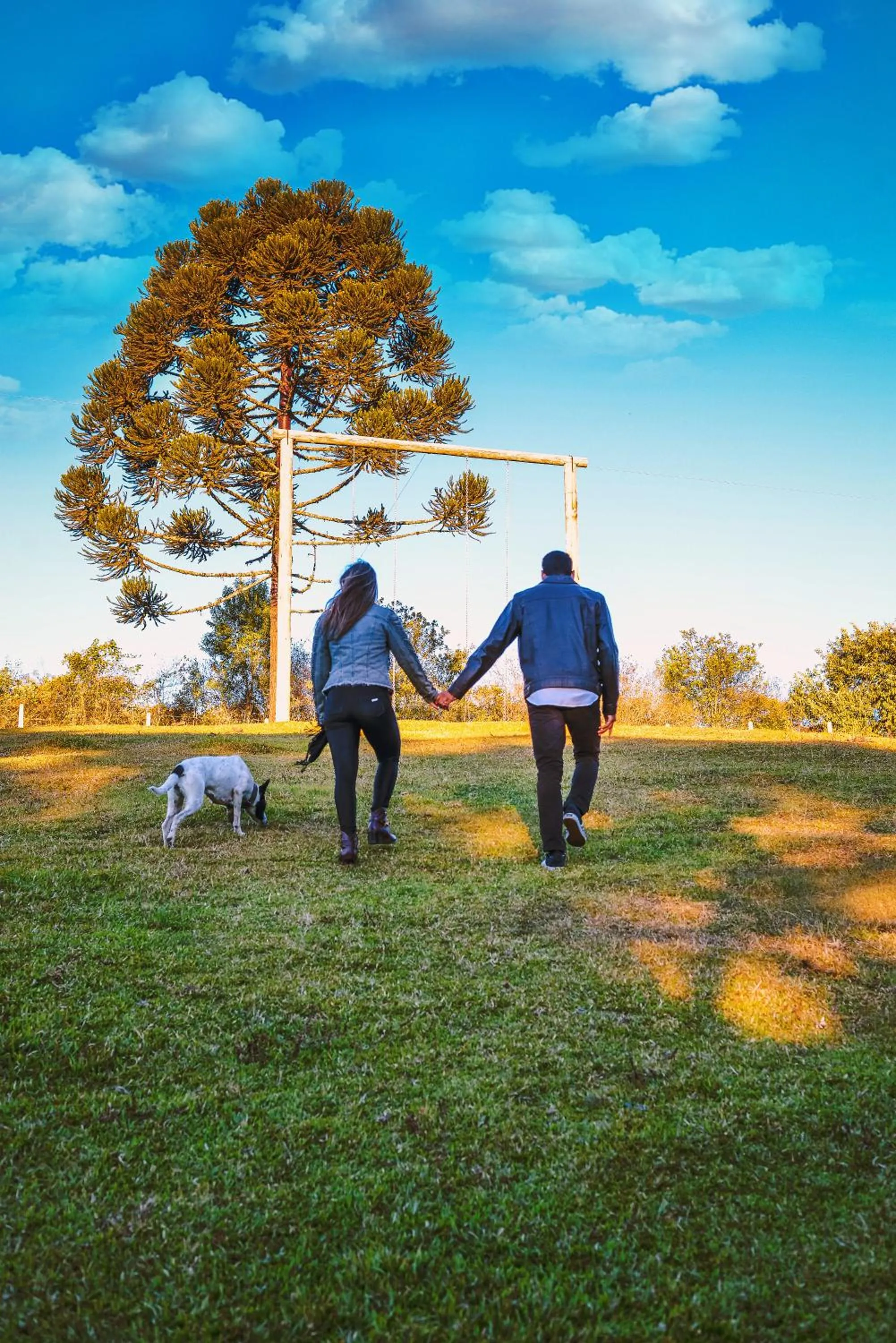 Day in Pousada Recanto dos Pôneis Rio Rufino Urubici
