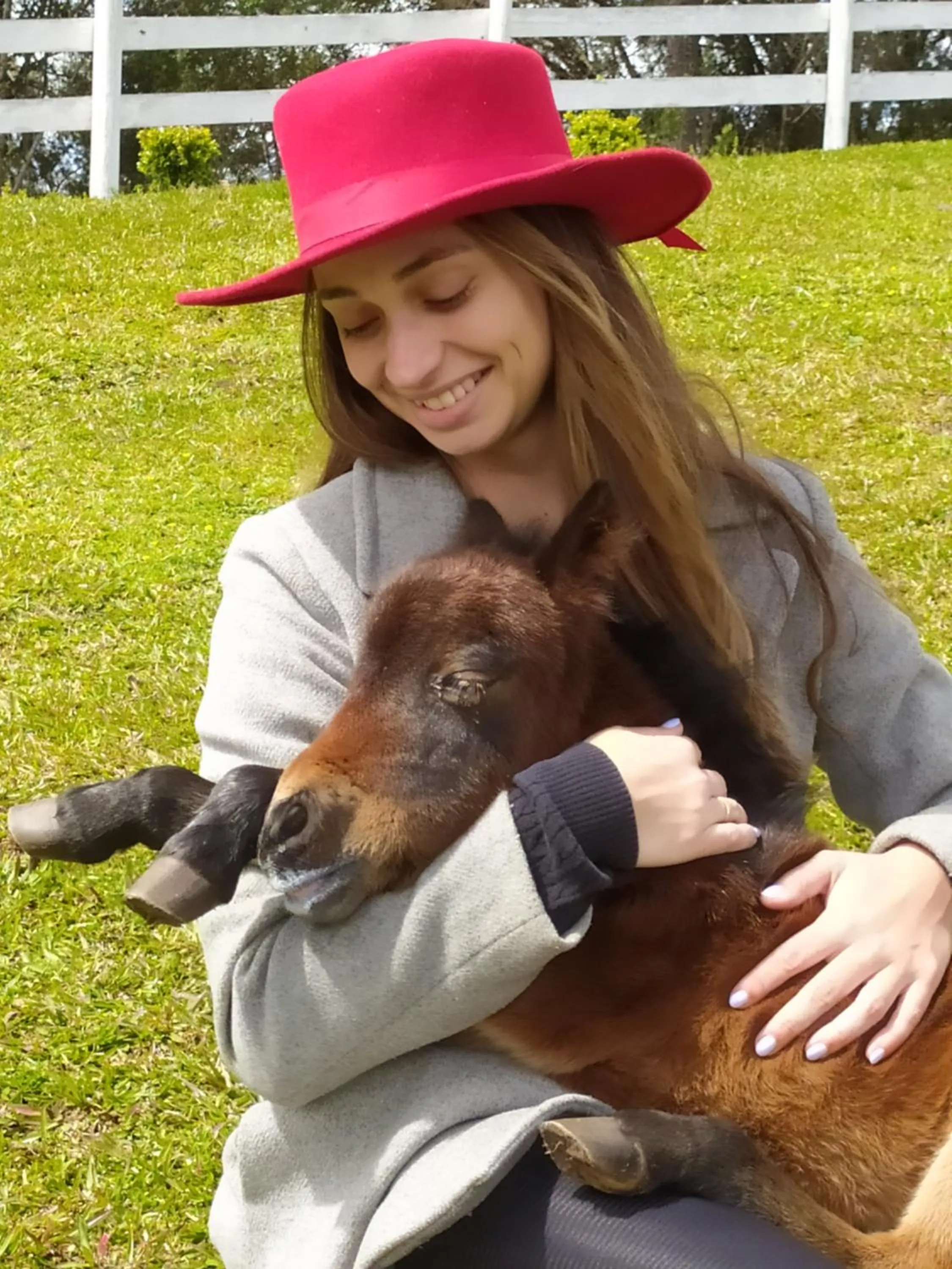 Animals in Pousada Recanto dos Pôneis Rio Rufino Urubici