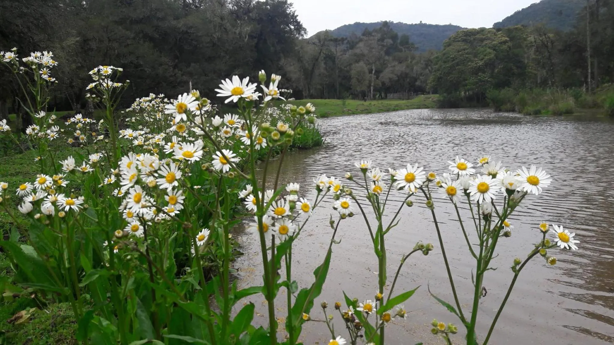 Natural landscape in Pousada Recanto dos Pôneis Rio Rufino Urubici