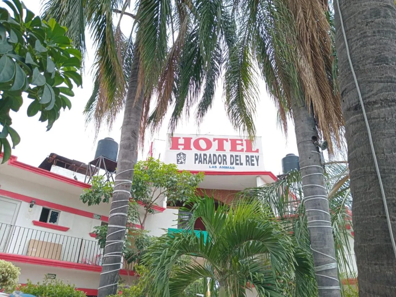 View (from property/room) in Hotel Parador del Rey