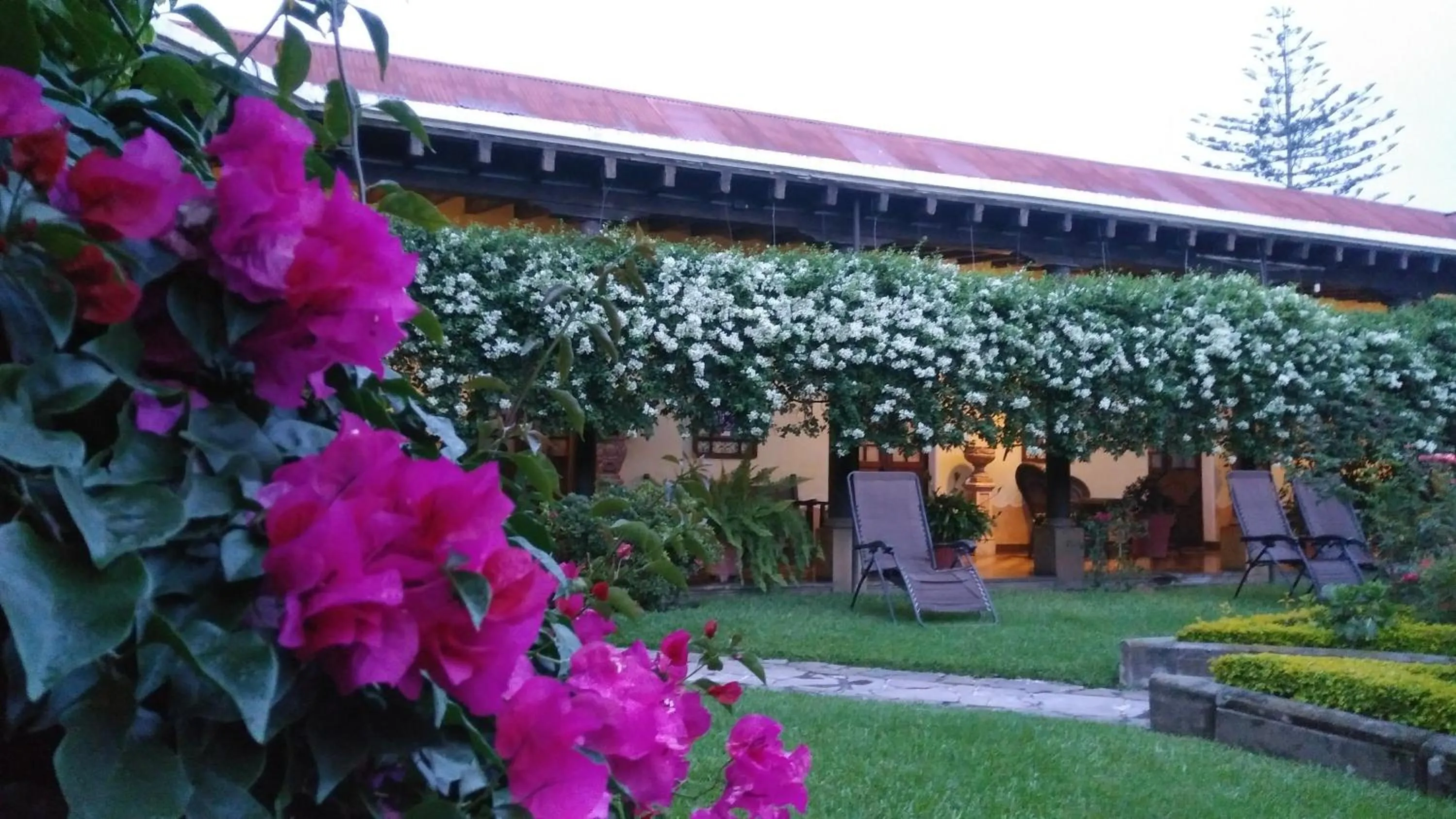 Garden in Hotel Aurora