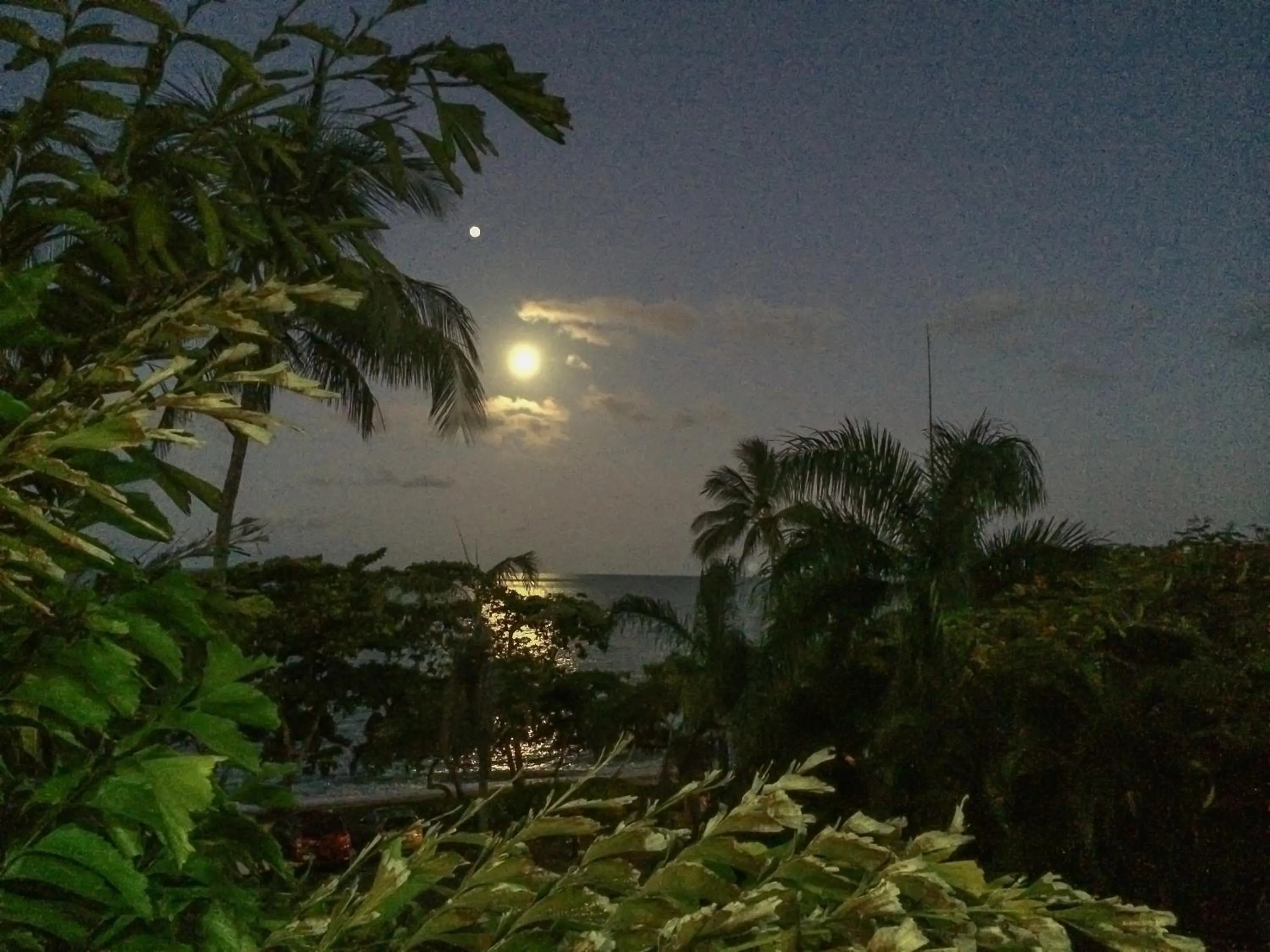 Night in Roydon Beachfront Apartments