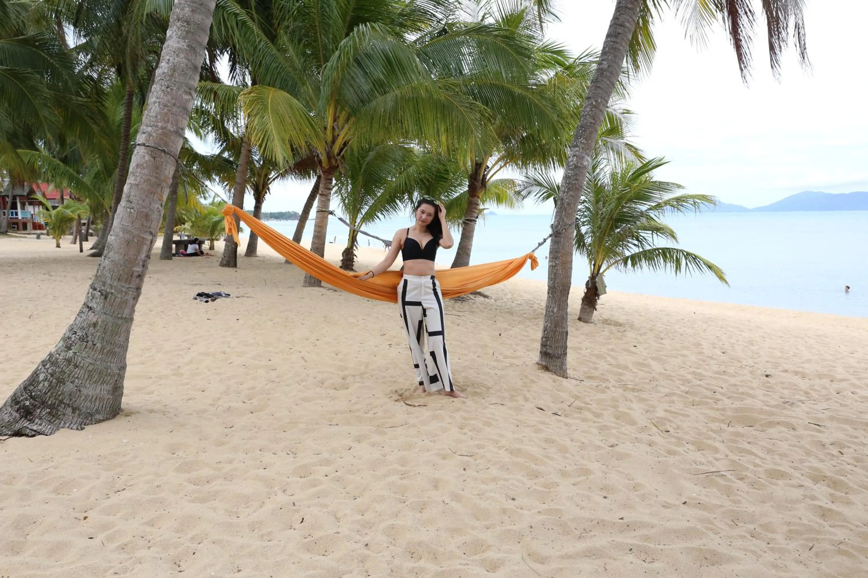 View (from property/room) in Shangrilah Bungalow