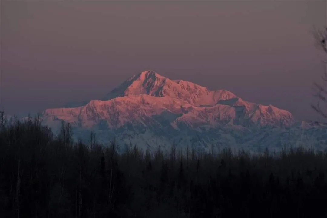 Talkeetna Fireweed Cabins