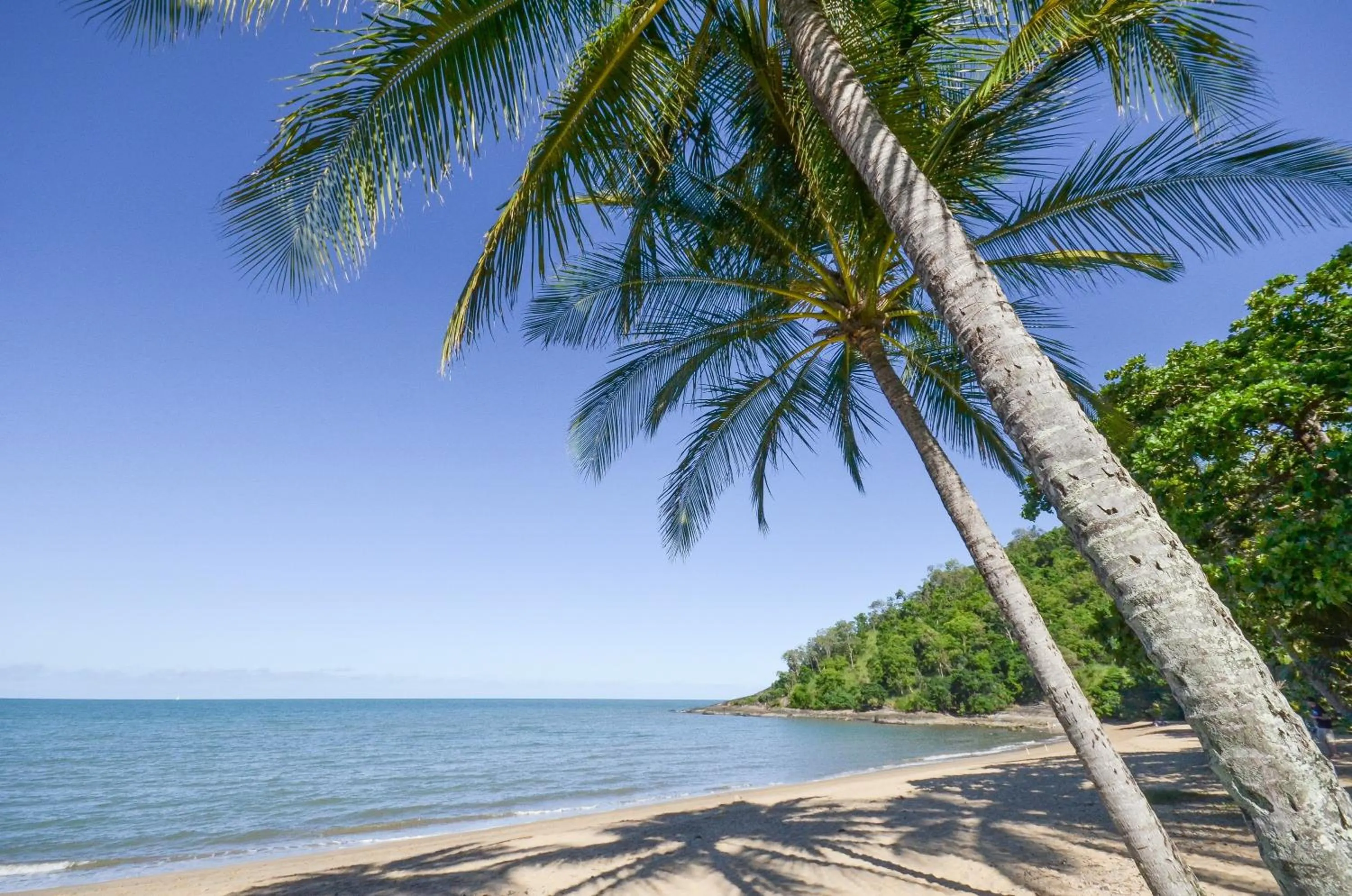 Beach in Beachfront Apartments on Trinity Beach