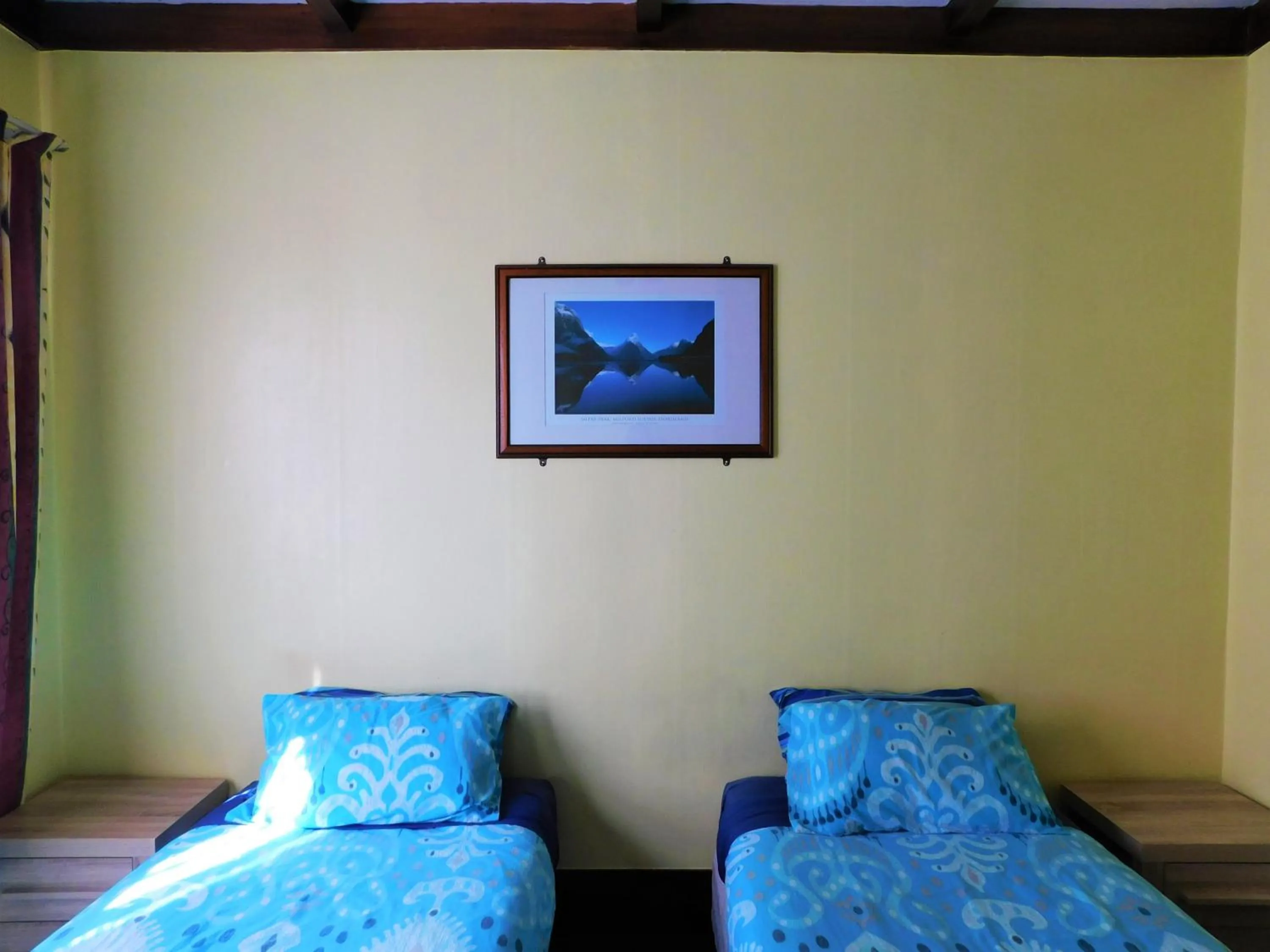 Bed in Rotorua Central Backpackers