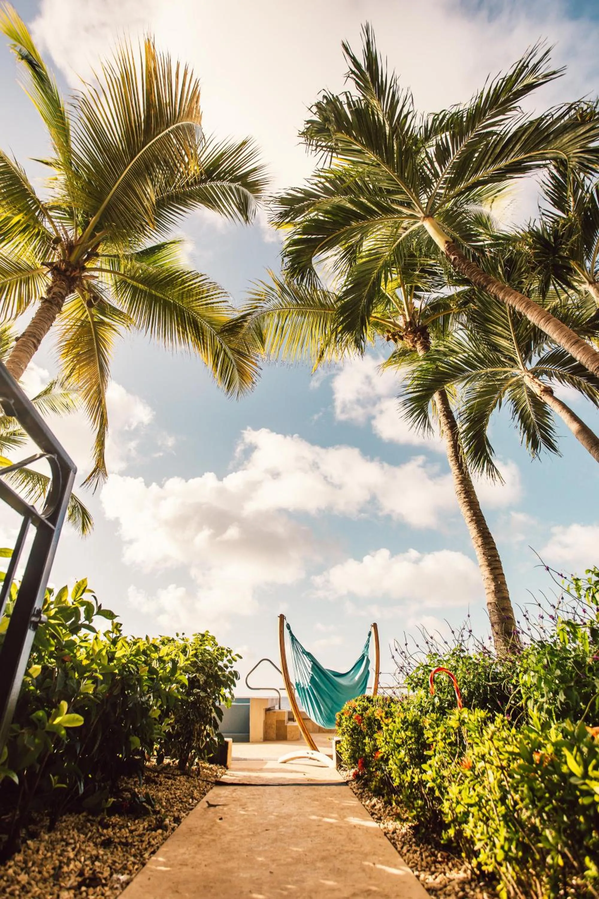 Garden in The Bellafonte - Luxury Oceanfront Hotel